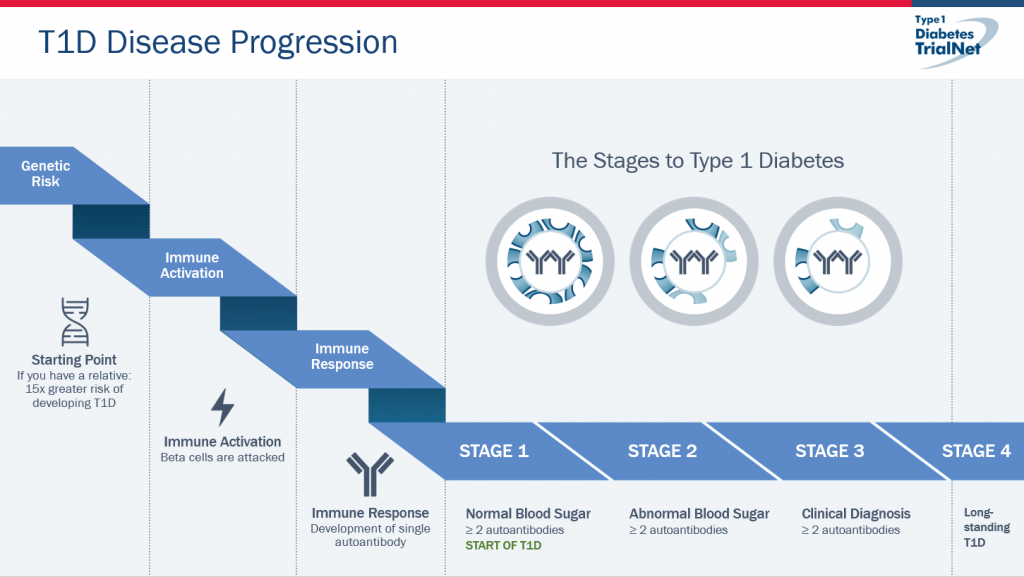 A diagram showing the stages of type 1 diabetes progression