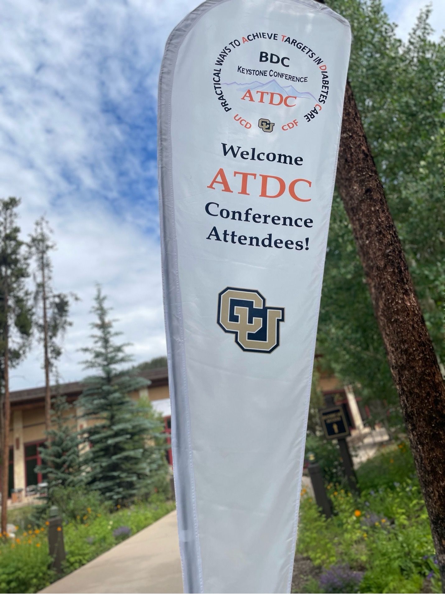 Outdoor ATDC flag banner for conference.