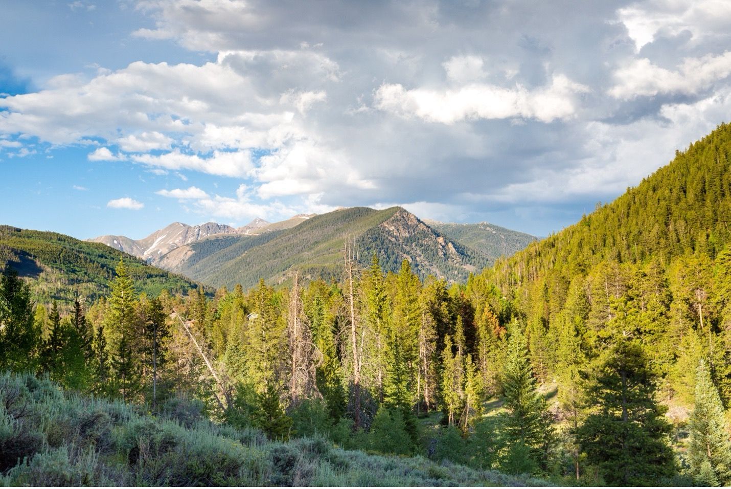 Wooden walking bridge over a gushing mountain river.