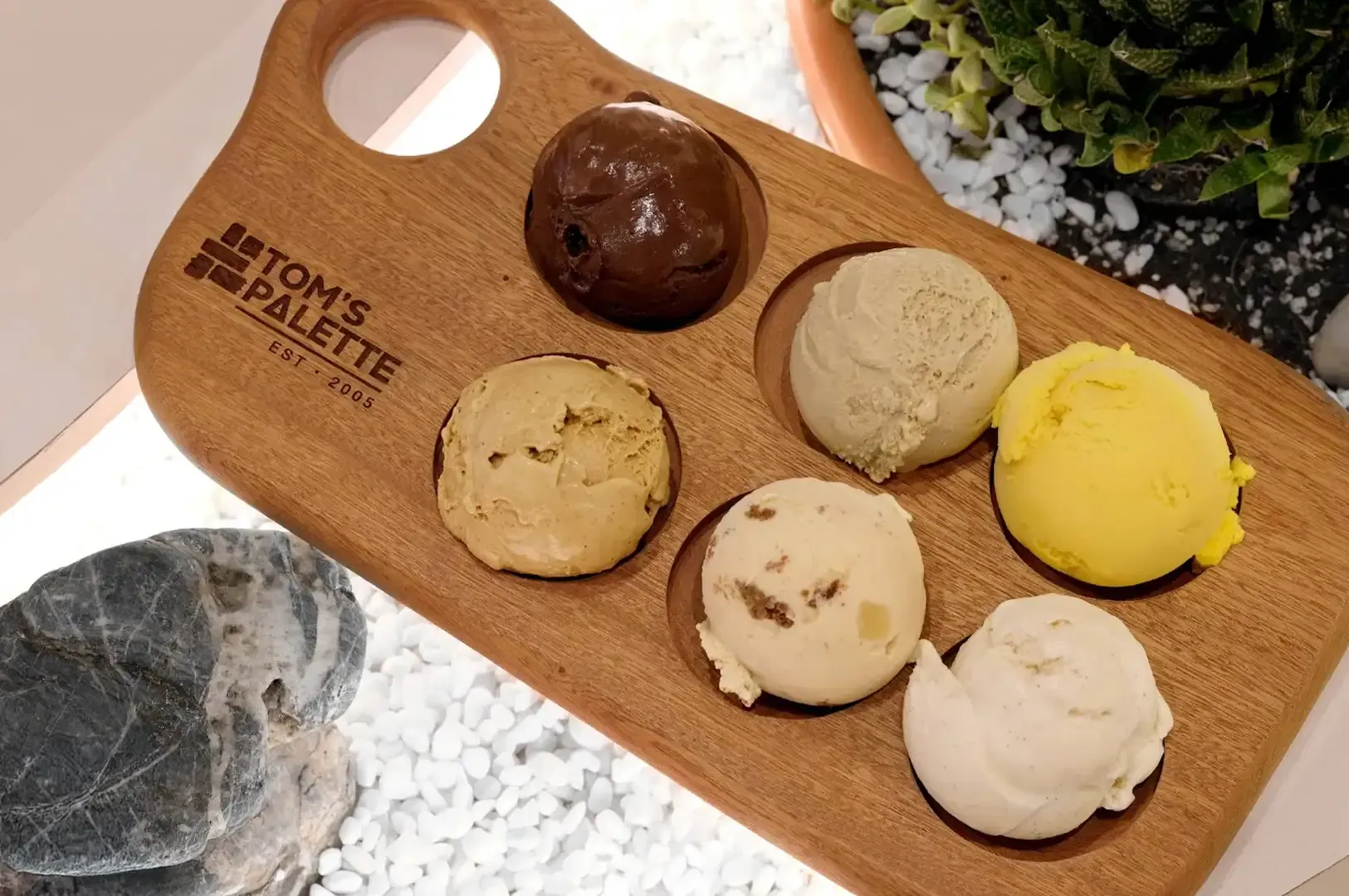 Assorted ice cream scoops on a wooden tasting board next to a plant and stone decor