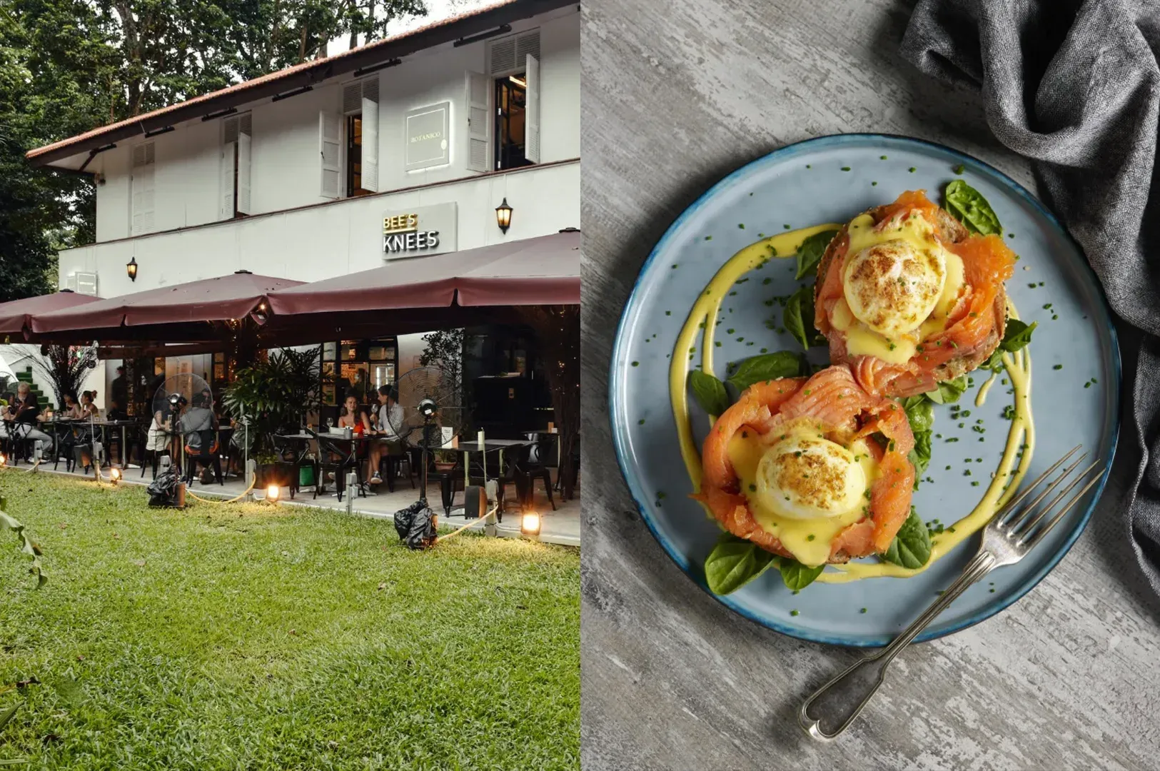 Showcases an outdoor dining experience alongside a close-up of a prepared dish. The left side captures the exterior of a two-story white building with a brown tiled roof named