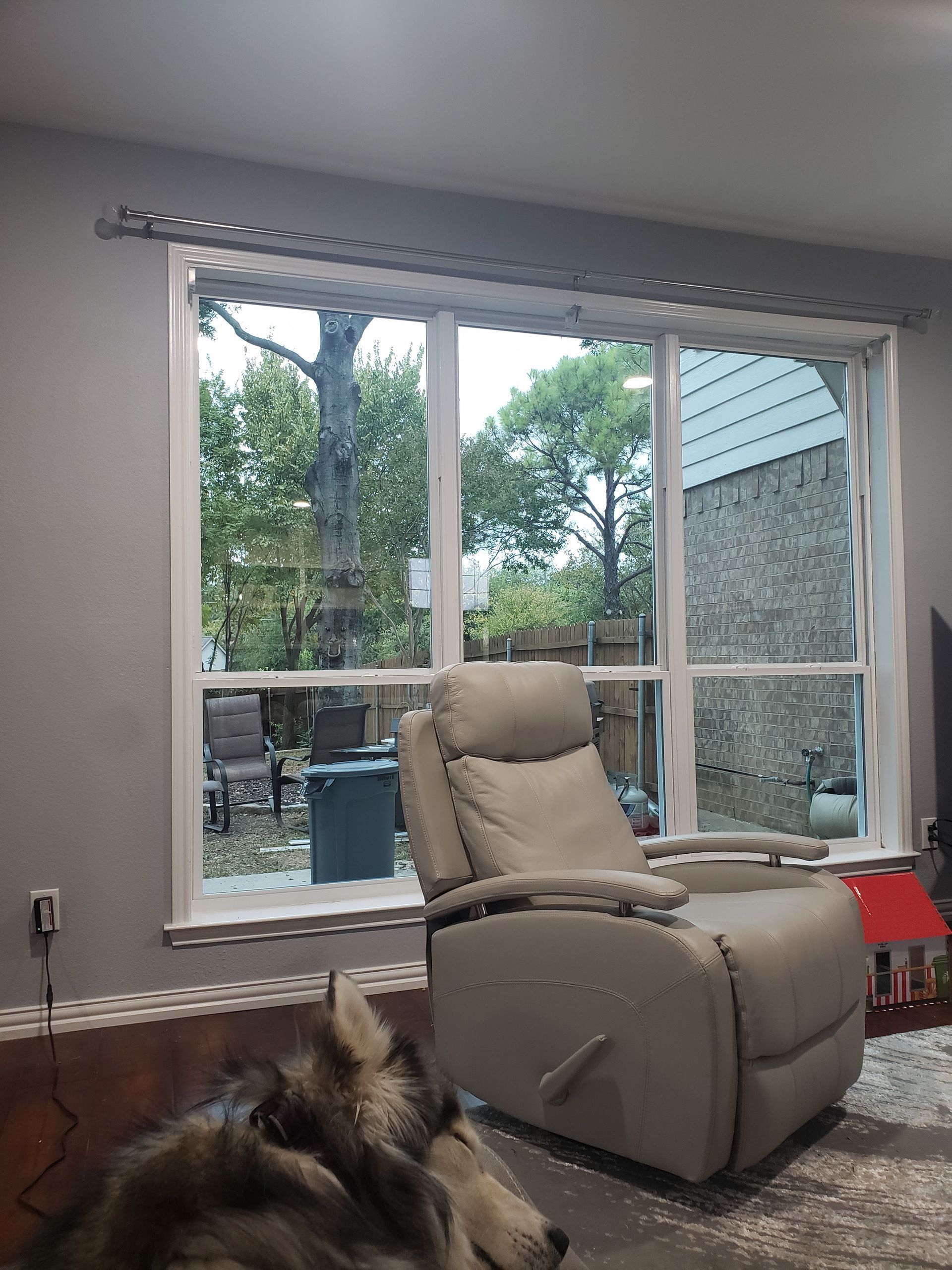 A dog resting in front of a window with a recliner, trees, and a trash can outside.