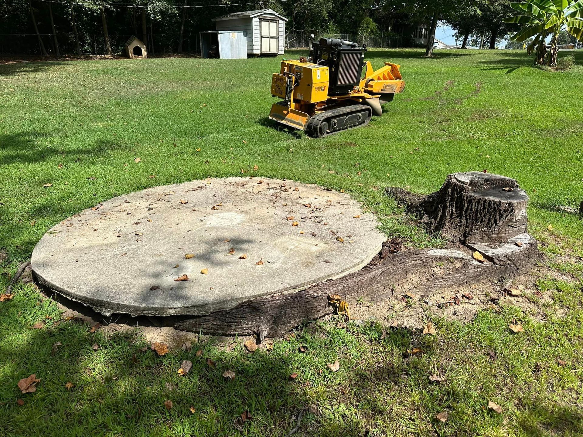 A concrete circle is sitting next to a tree stump in a grassy field.