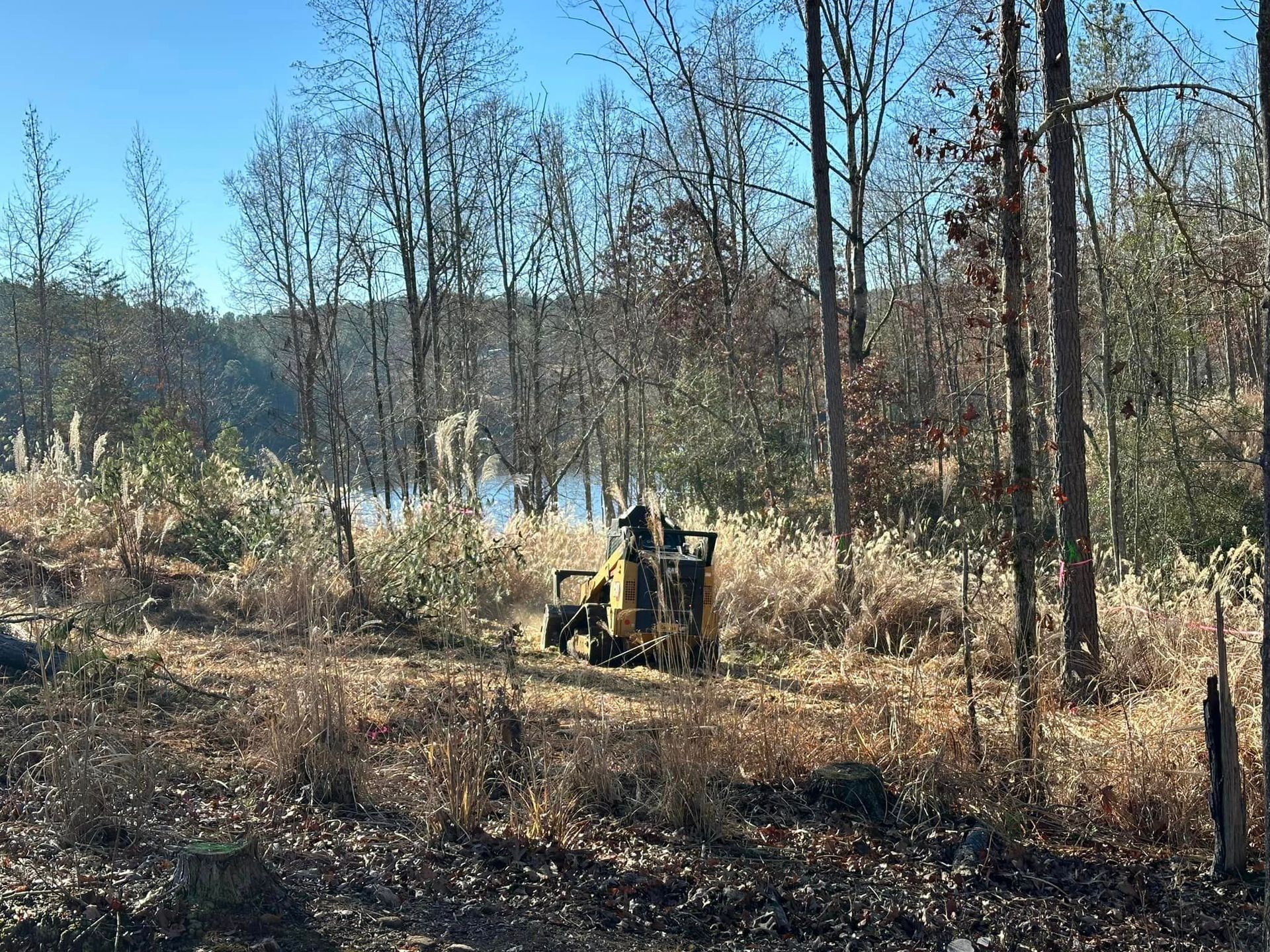 A tractor is sitting in the middle of a field in the woods.