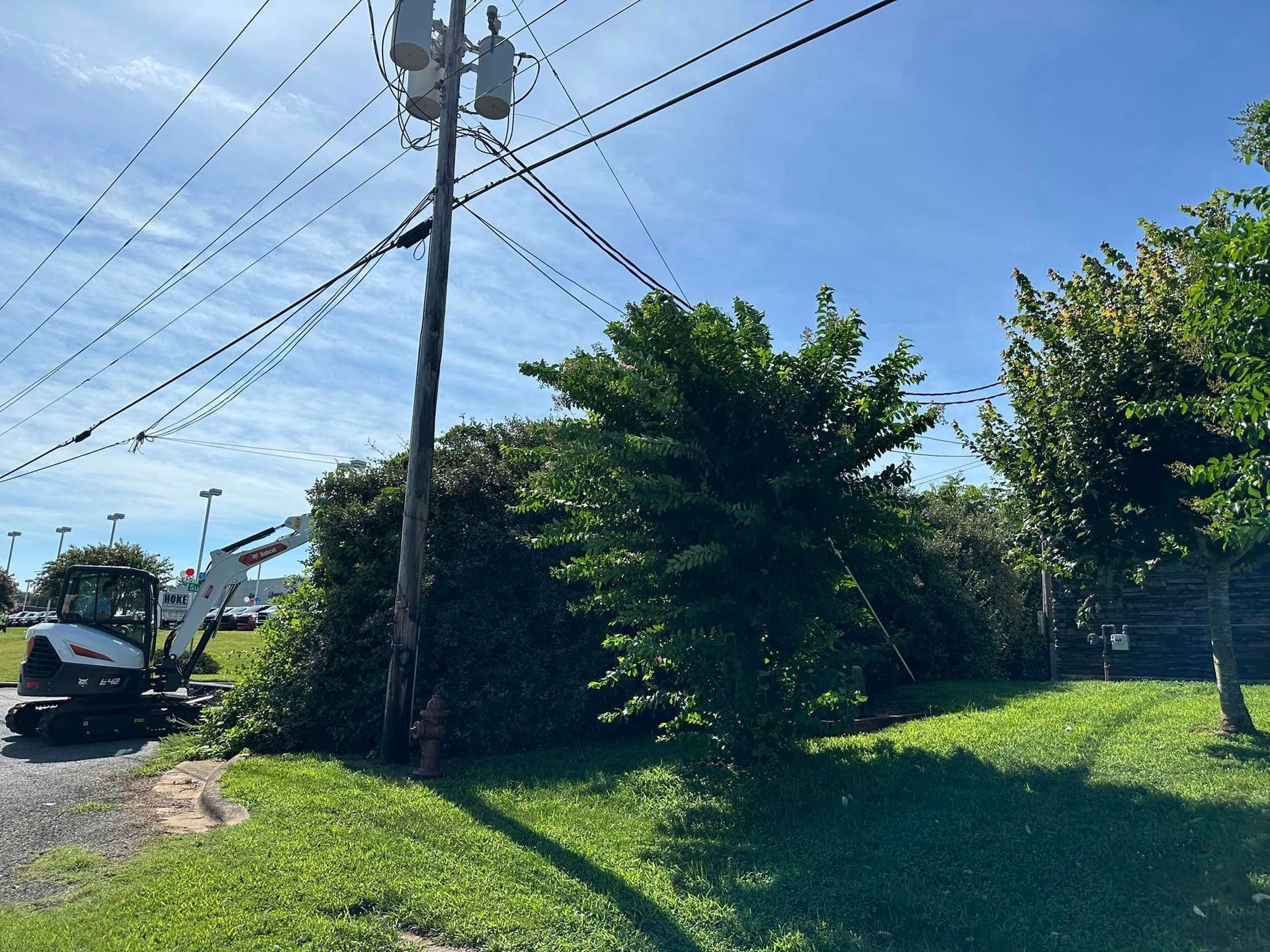 A crane is cutting a tree in the grass next to a power pole.