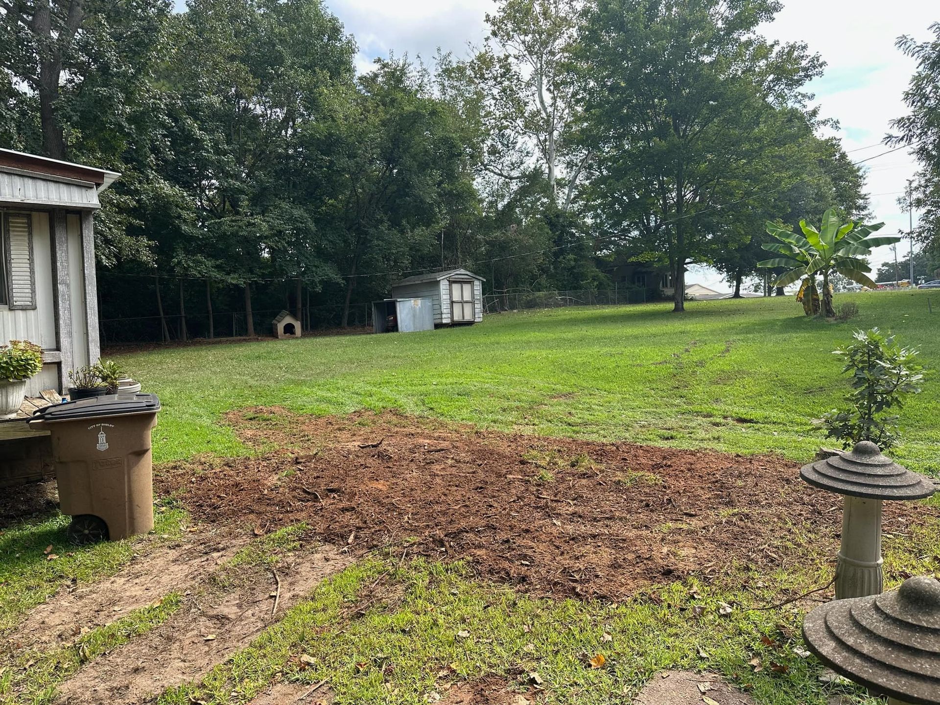 A large grassy field with a shed and trees in the background.