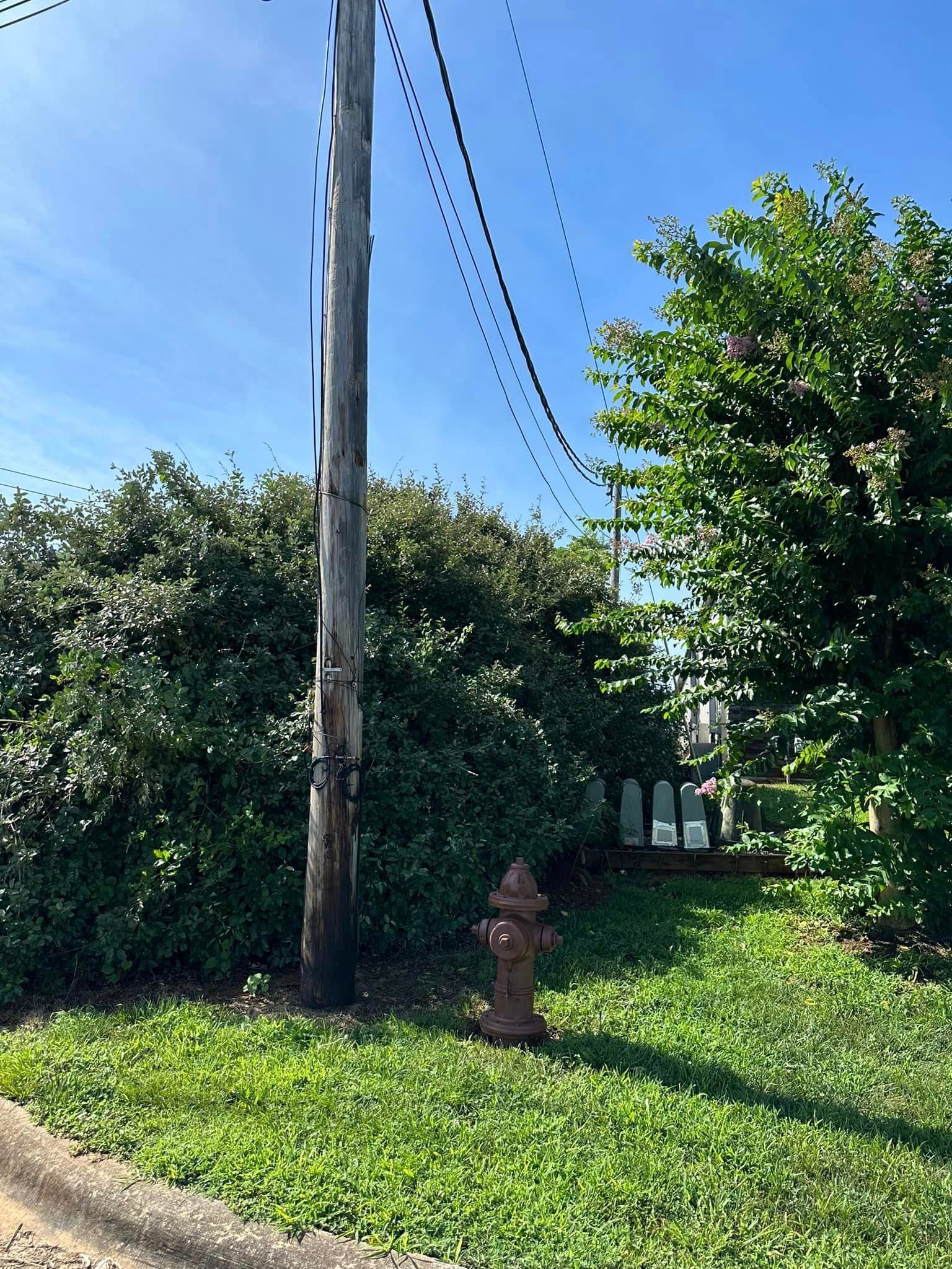 A fire hydrant is in the grass next to a telephone pole.