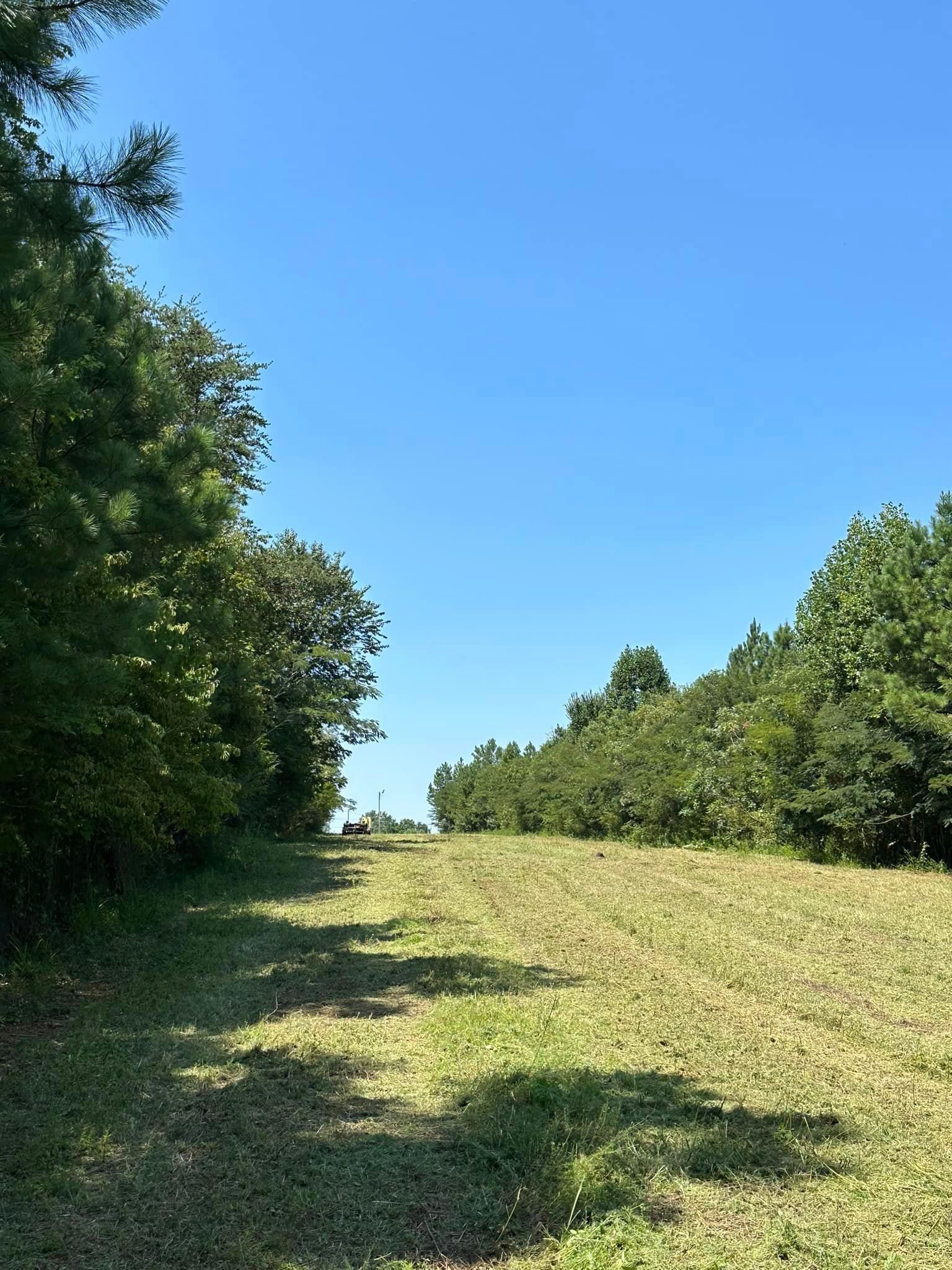 A path going through a grassy field surrounded by trees on a sunny day.