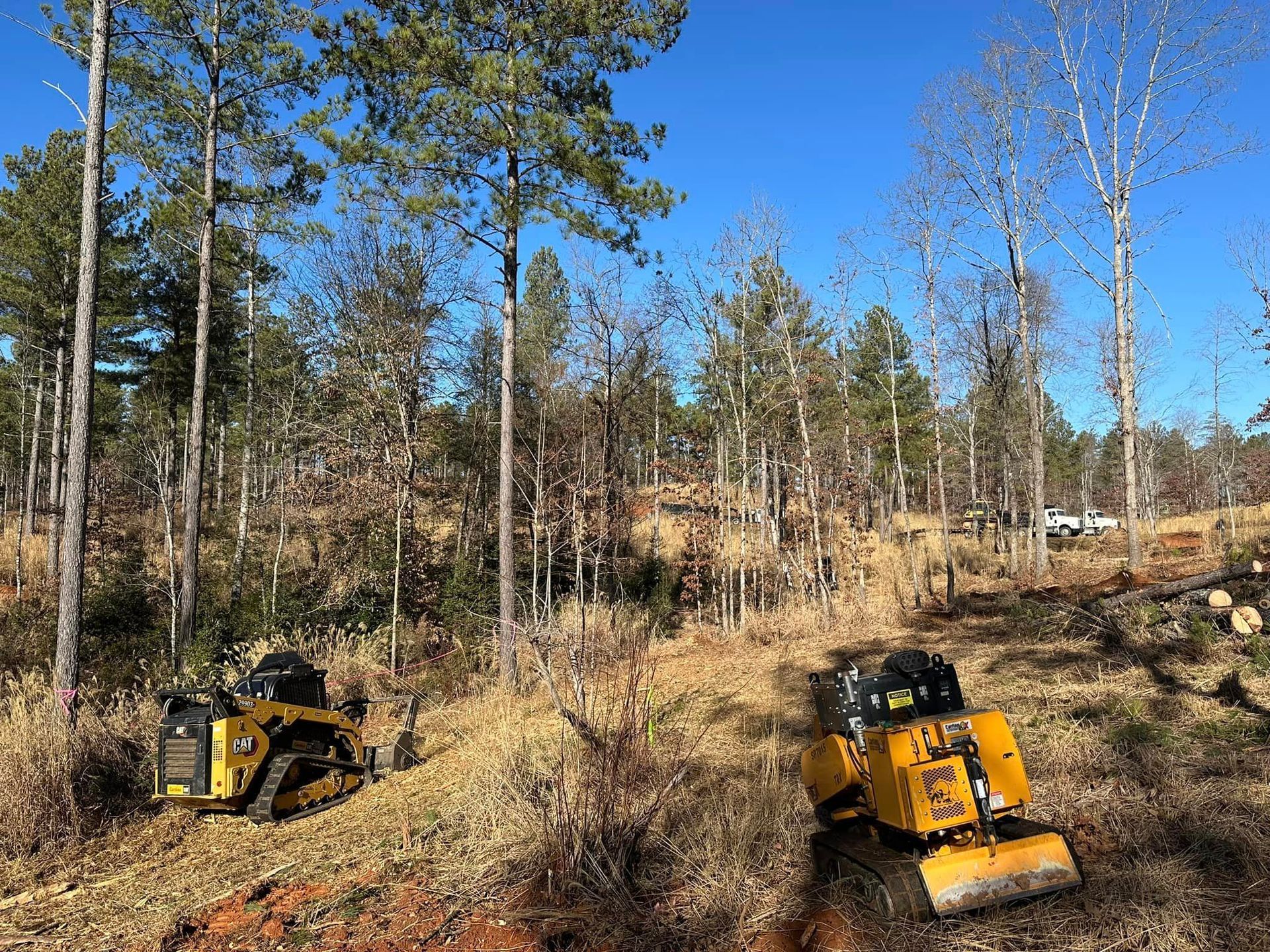 A yellow tractor is sitting in the middle of a forest.
