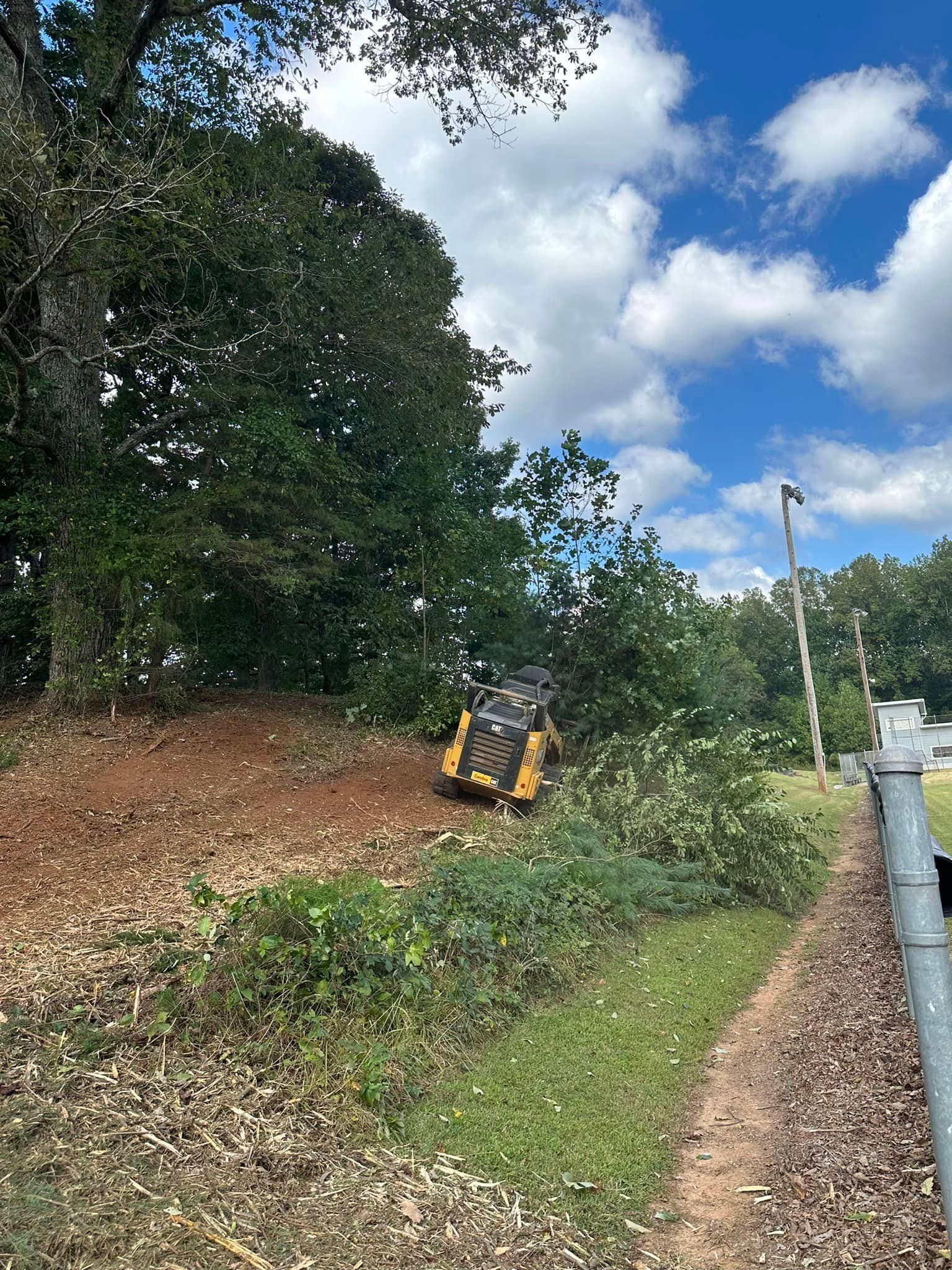 A yellow tractor is cutting down trees in a field.