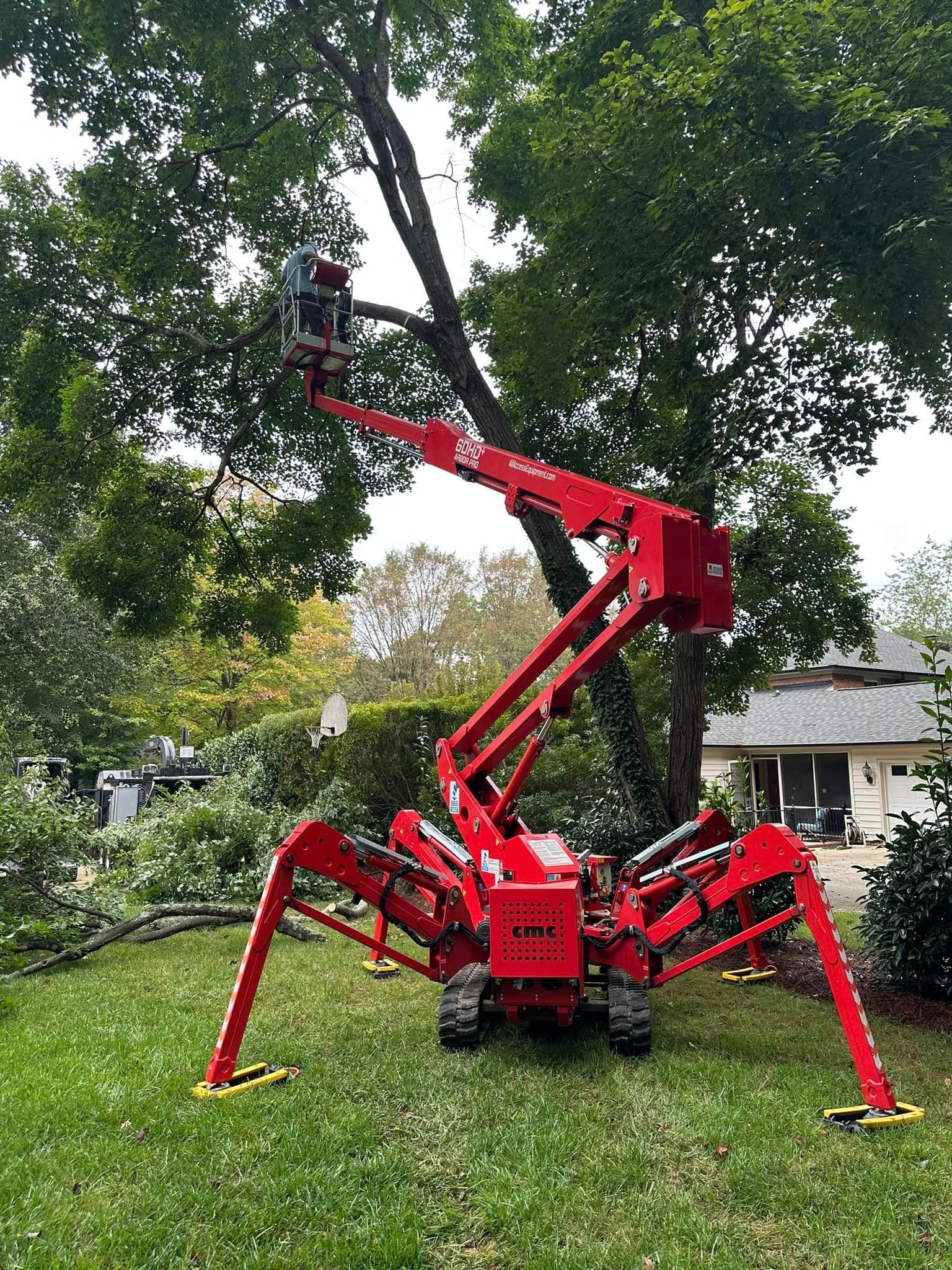 A red spider lift is cutting a tree in a yard.