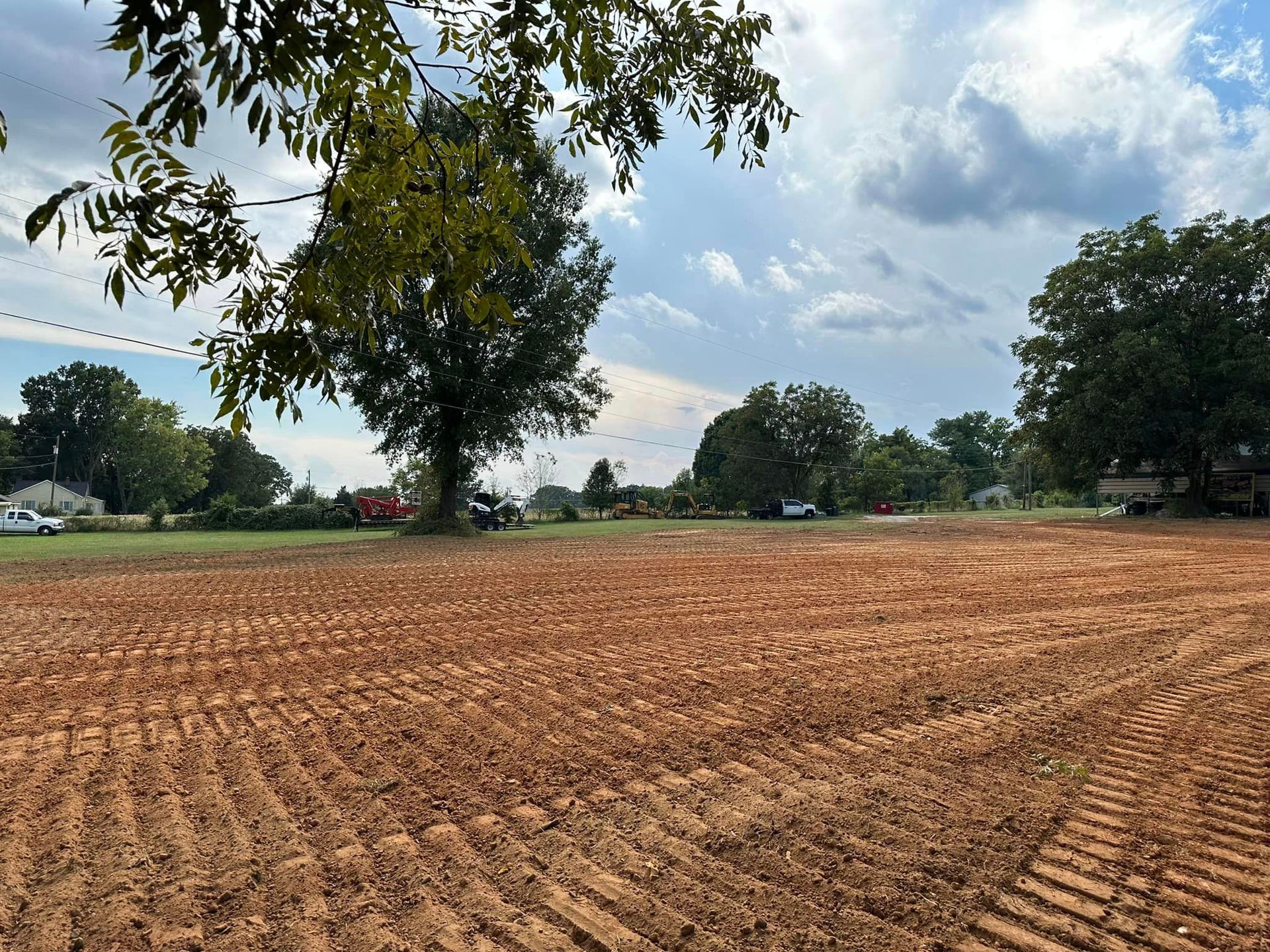 A large dirt field with a tree in the middle of it
