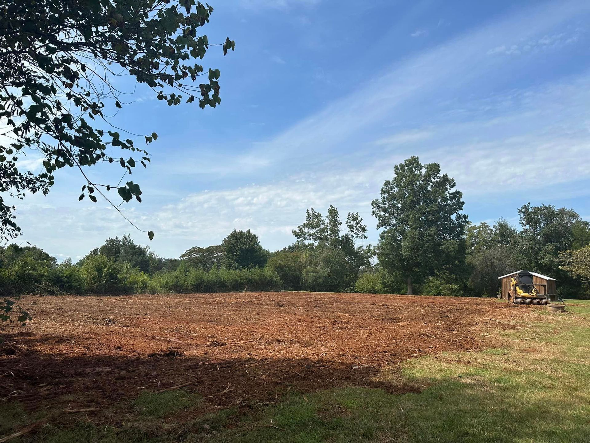 A large field with trees in the background and a blue sky