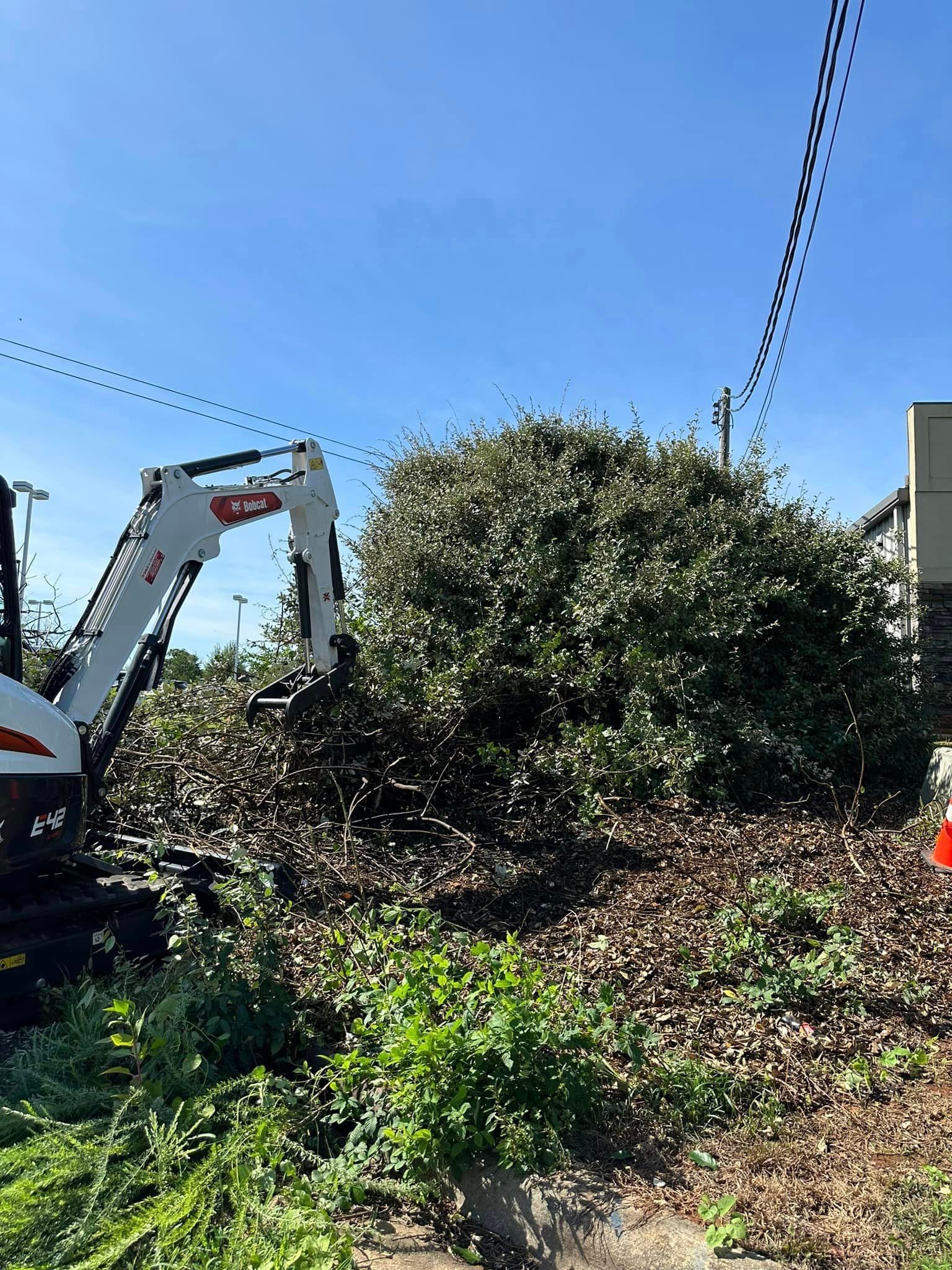 A bulldozer is moving a large pile of brush in a field.