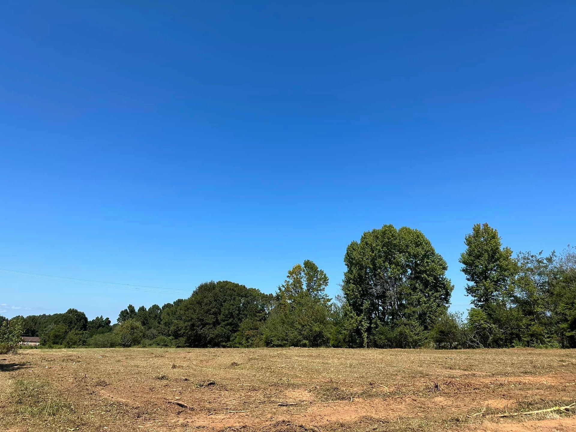 A field with trees and a blue sky in the background