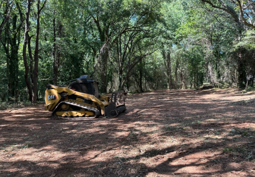 A bulldozer is sitting in the middle of a forest.