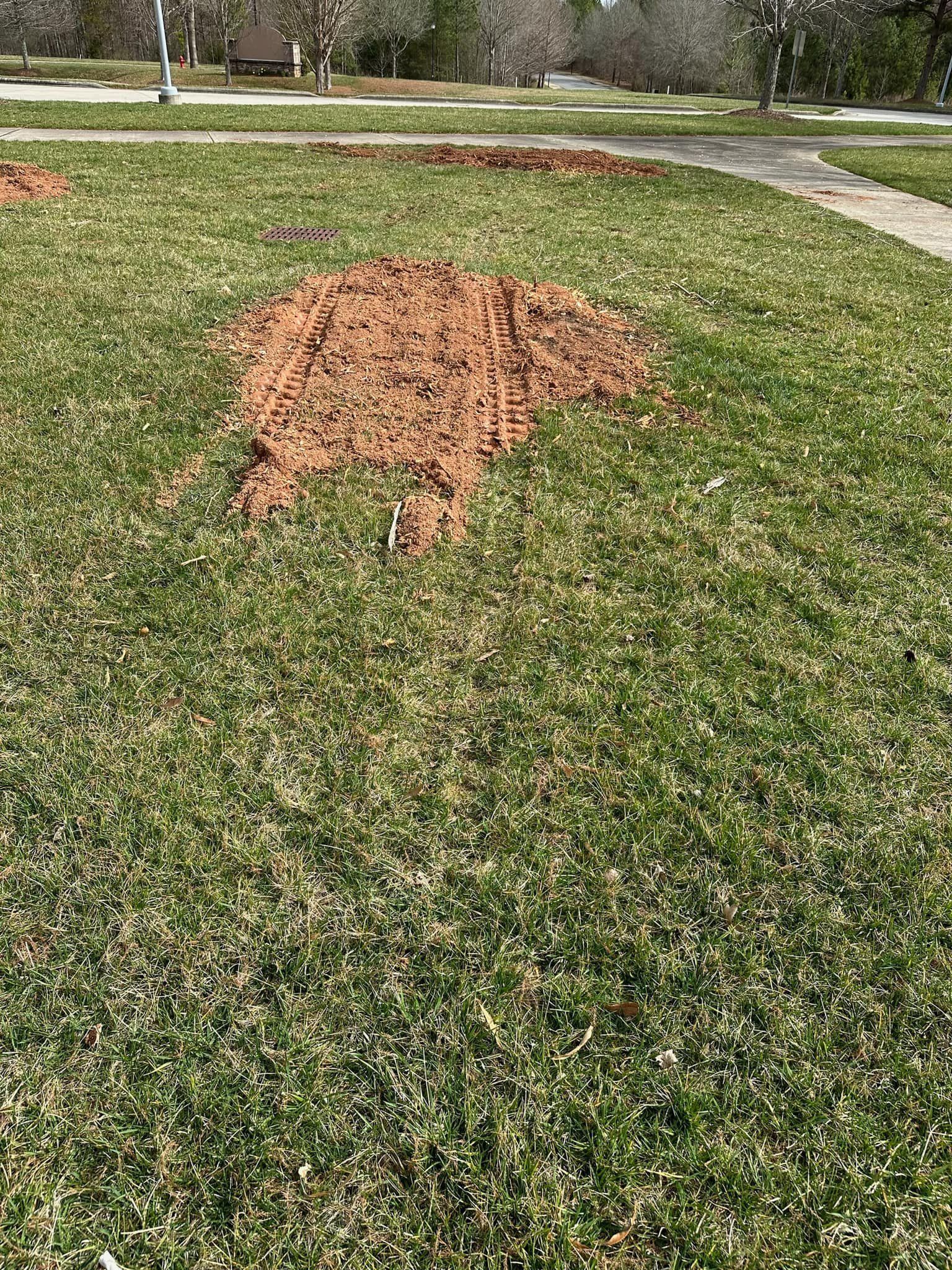 A pile of dirt is sitting in the middle of a lush green field.