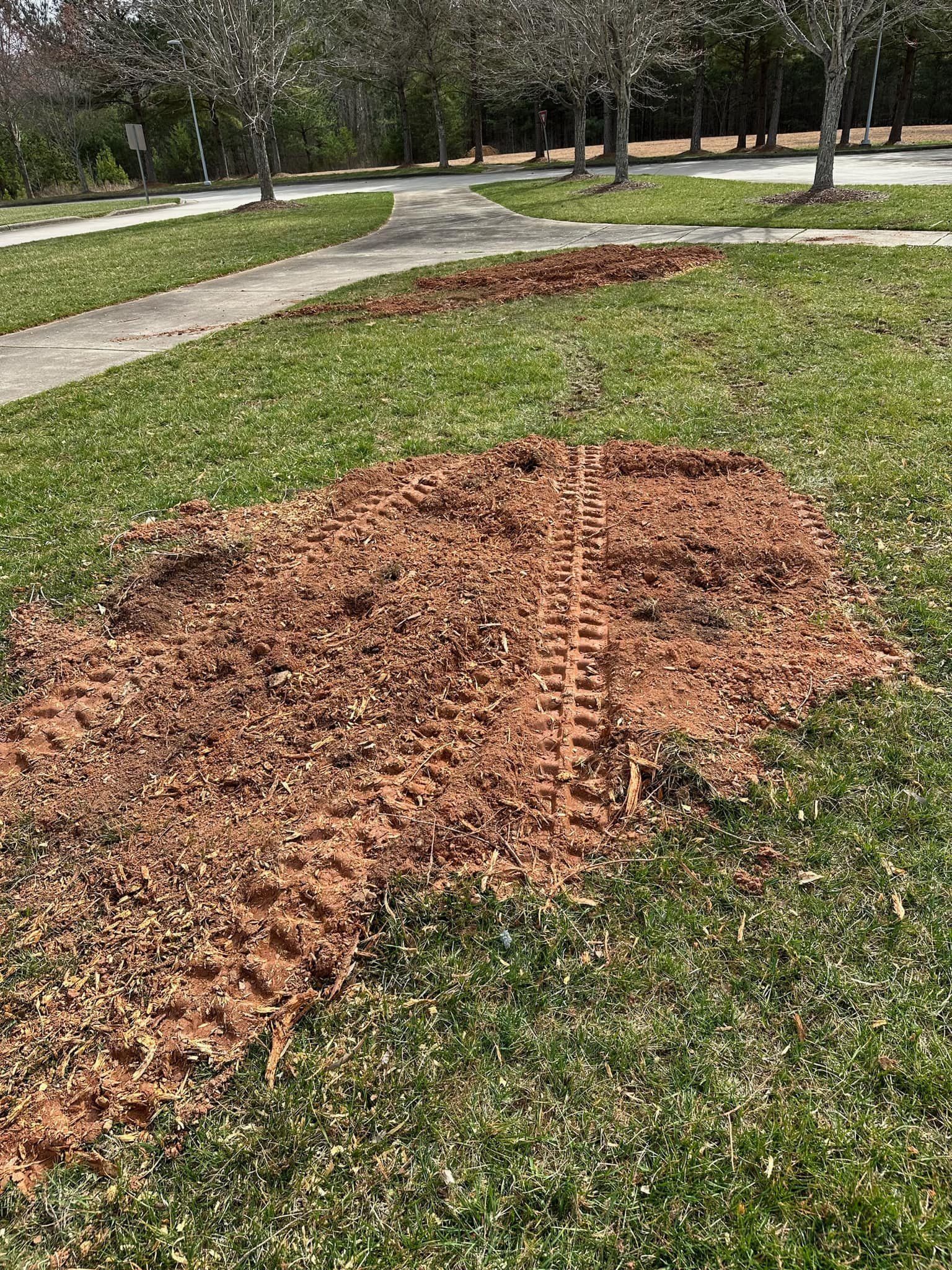 A tree stump in the middle of a lush green field.