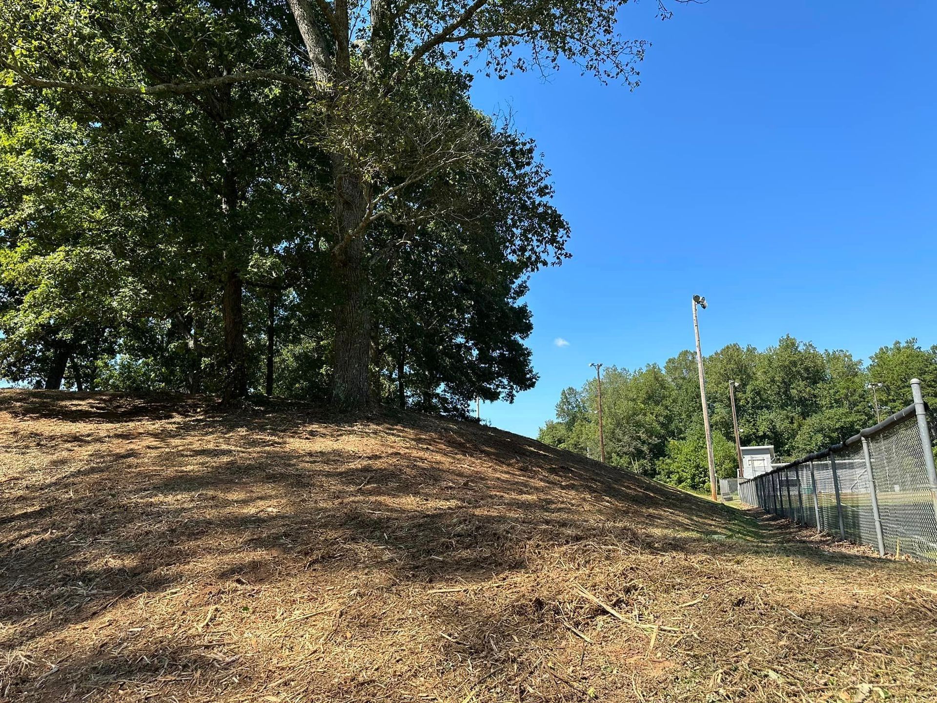 A fenced in area with trees and a blue sky in the background.
