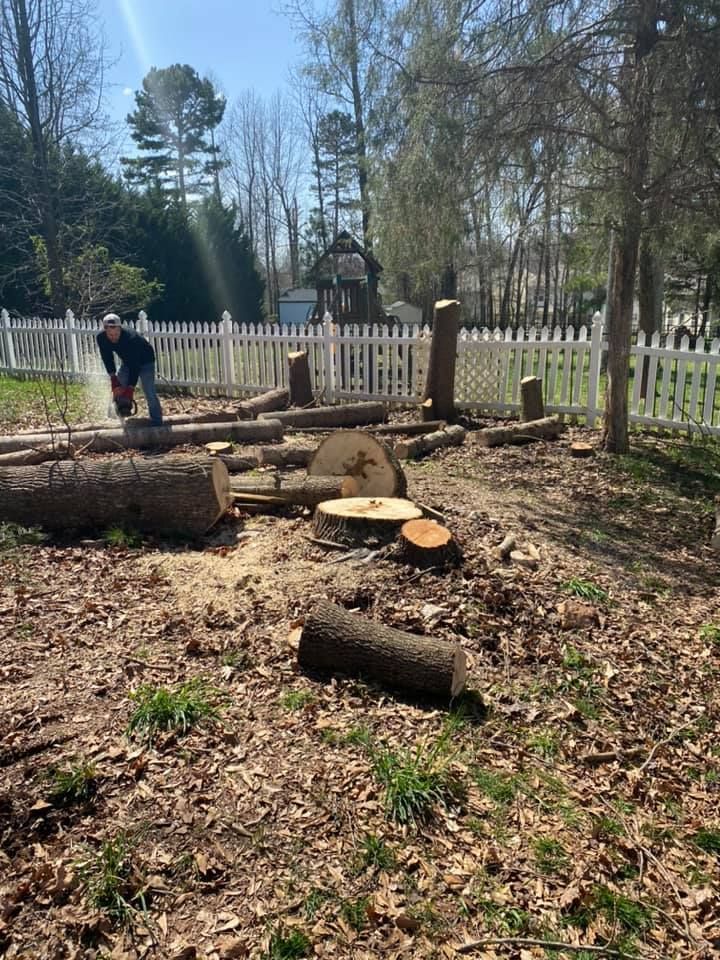 A man is cutting a log with a chainsaw in a yard.