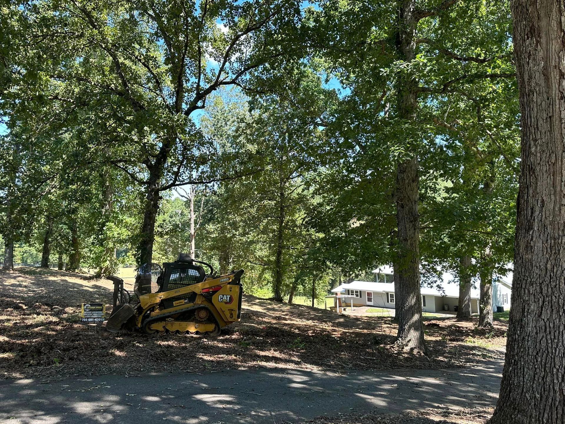 A bulldozer is parked in the middle of a forest.