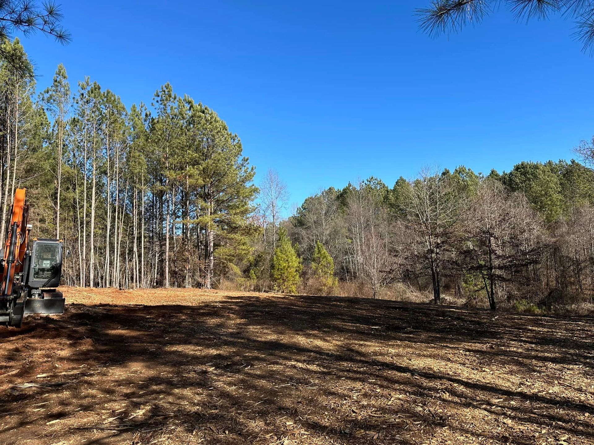 A bulldozer is driving through a field in the middle of a forest.