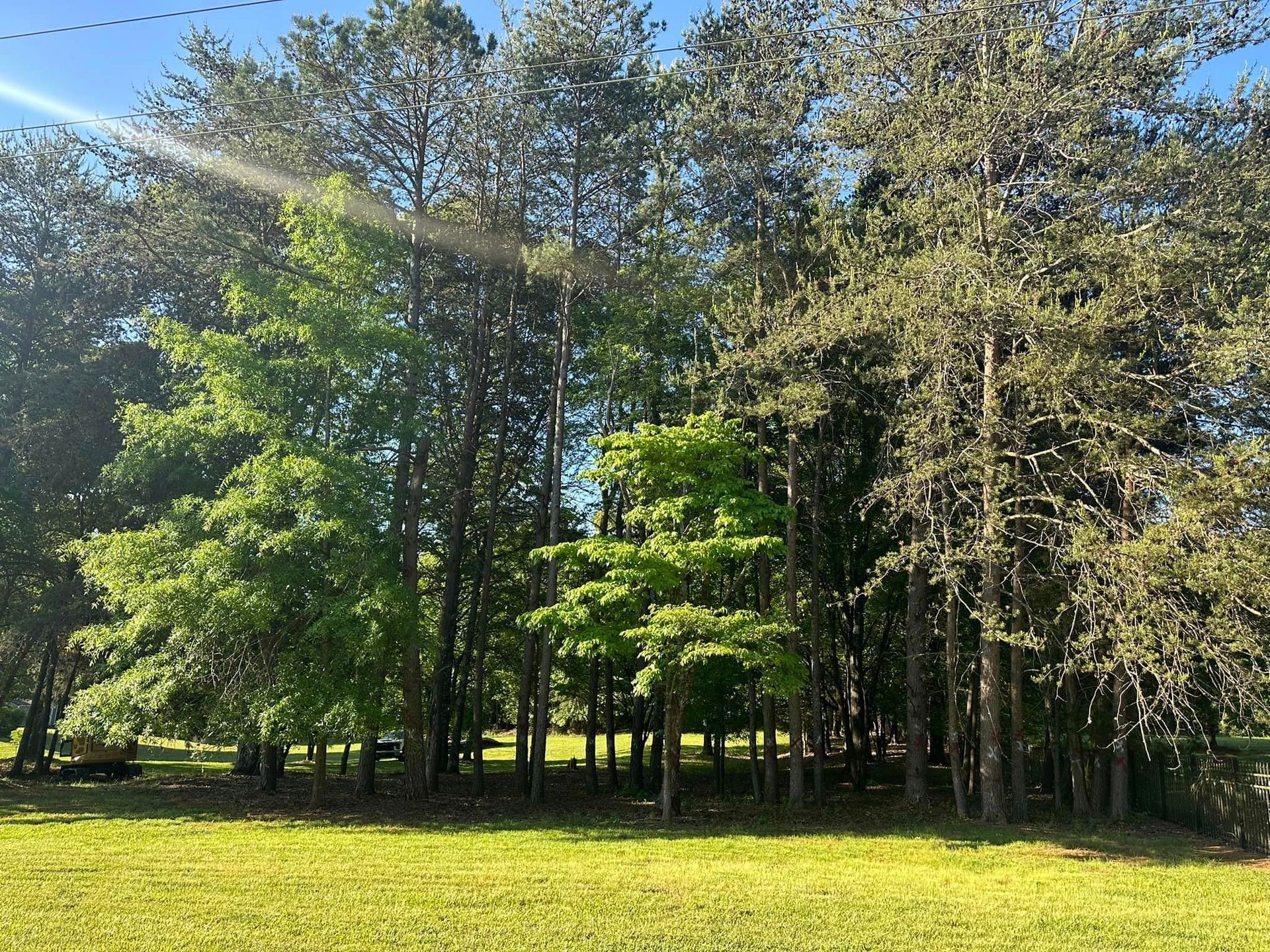 A lush green field surrounded by trees on a sunny day.