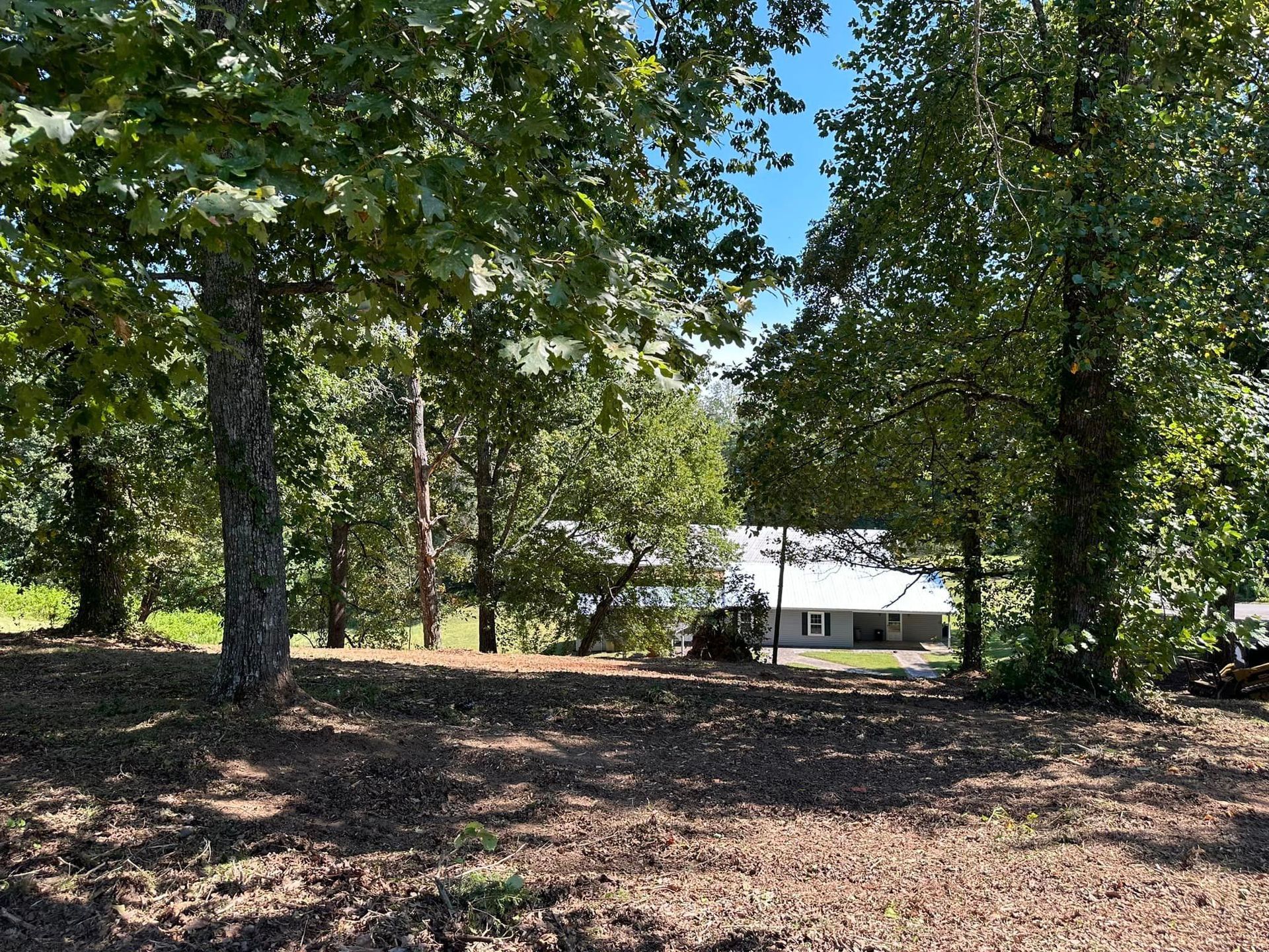A house is sitting in the middle of a forest surrounded by trees.