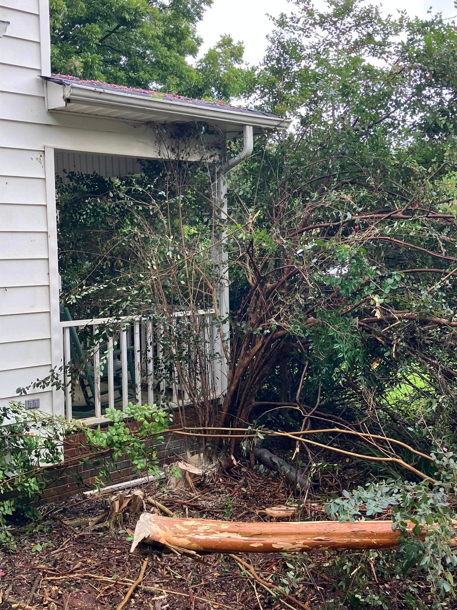 A tree has fallen on the side of a house.
