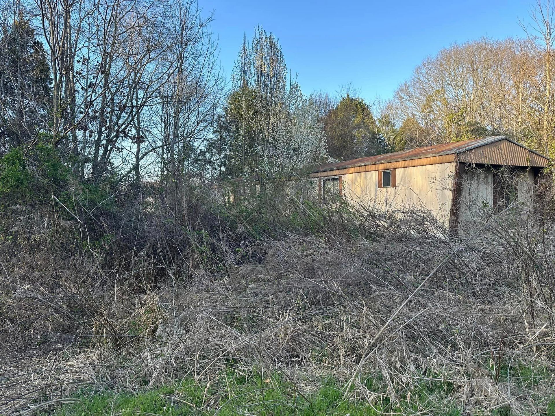 There is a house in the middle of a field surrounded by trees.