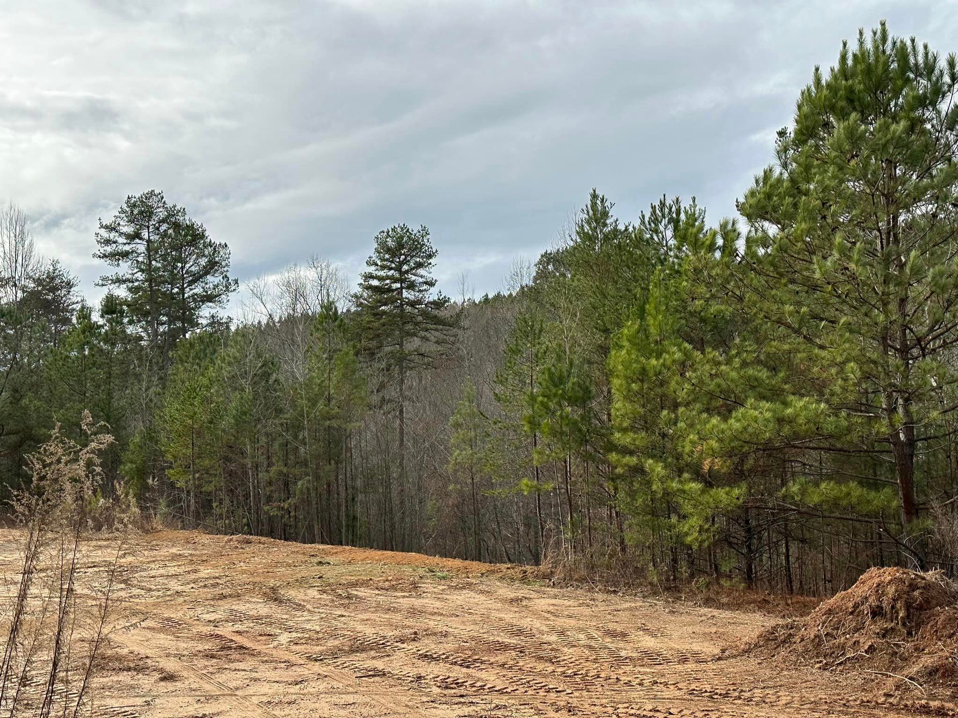 A dirt field with trees in the background and a cloudy sky