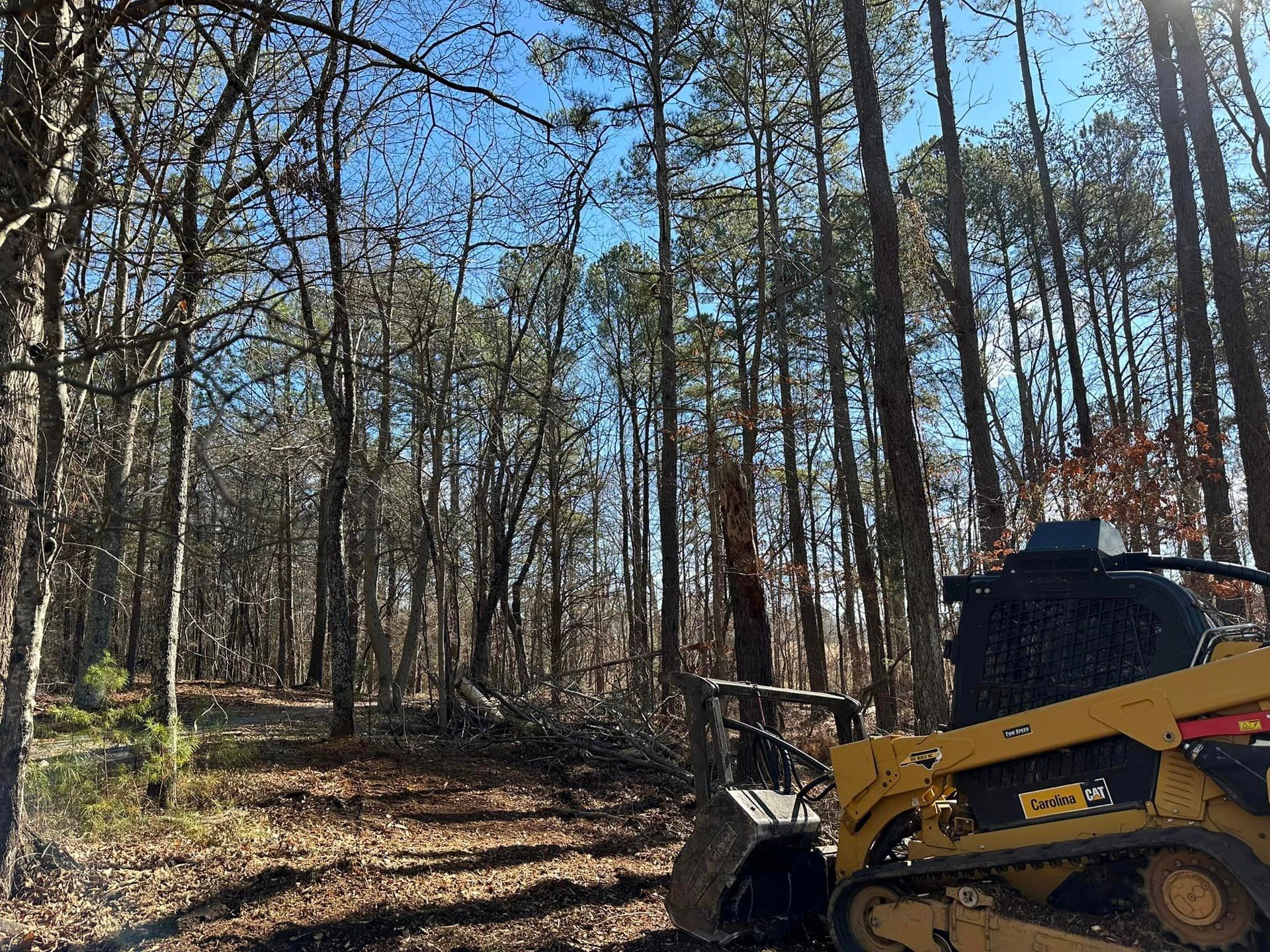 A yellow bulldozer is parked in the middle of a forest.