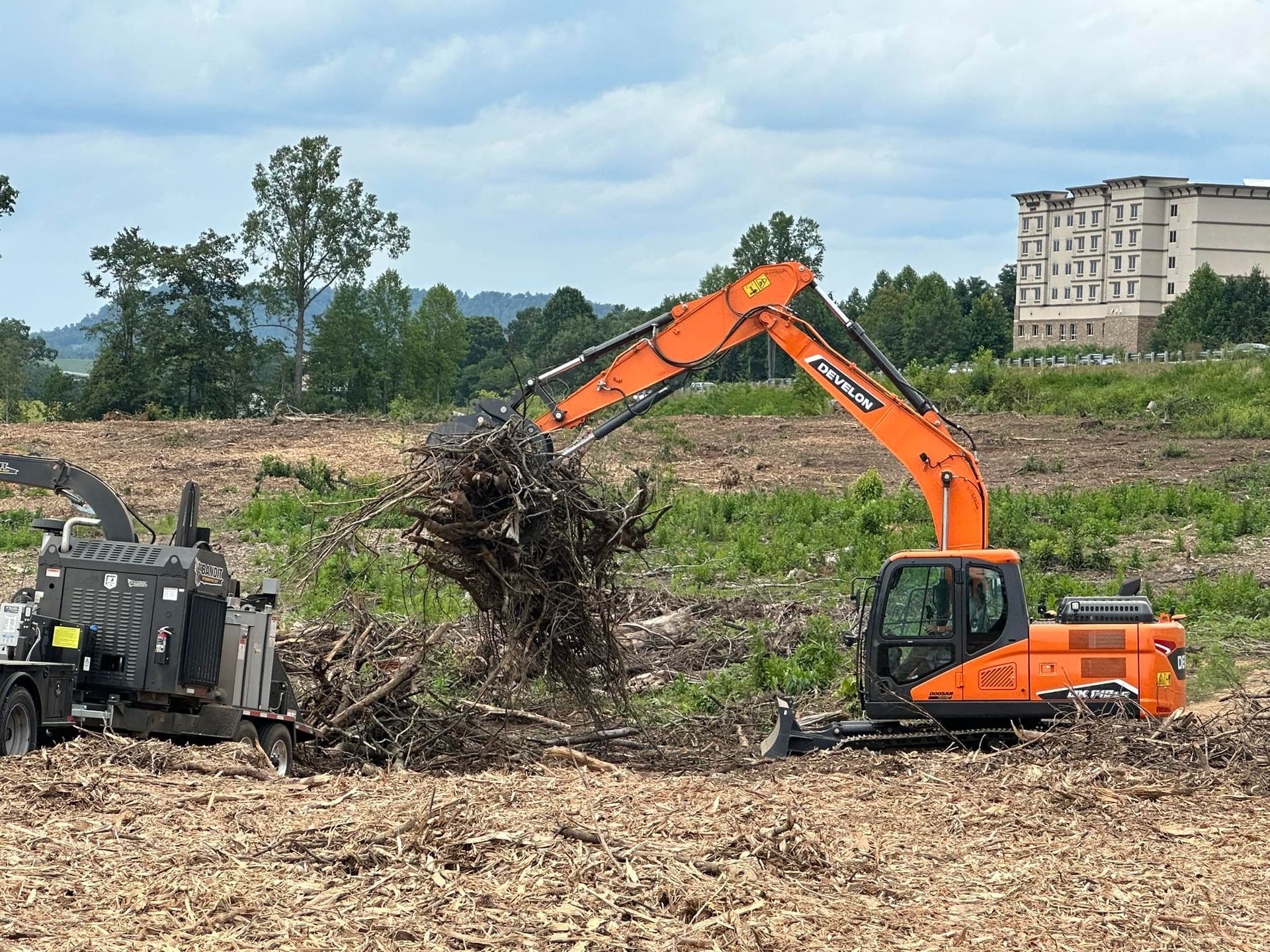 A large orange excavator is cutting down a tree in a field.