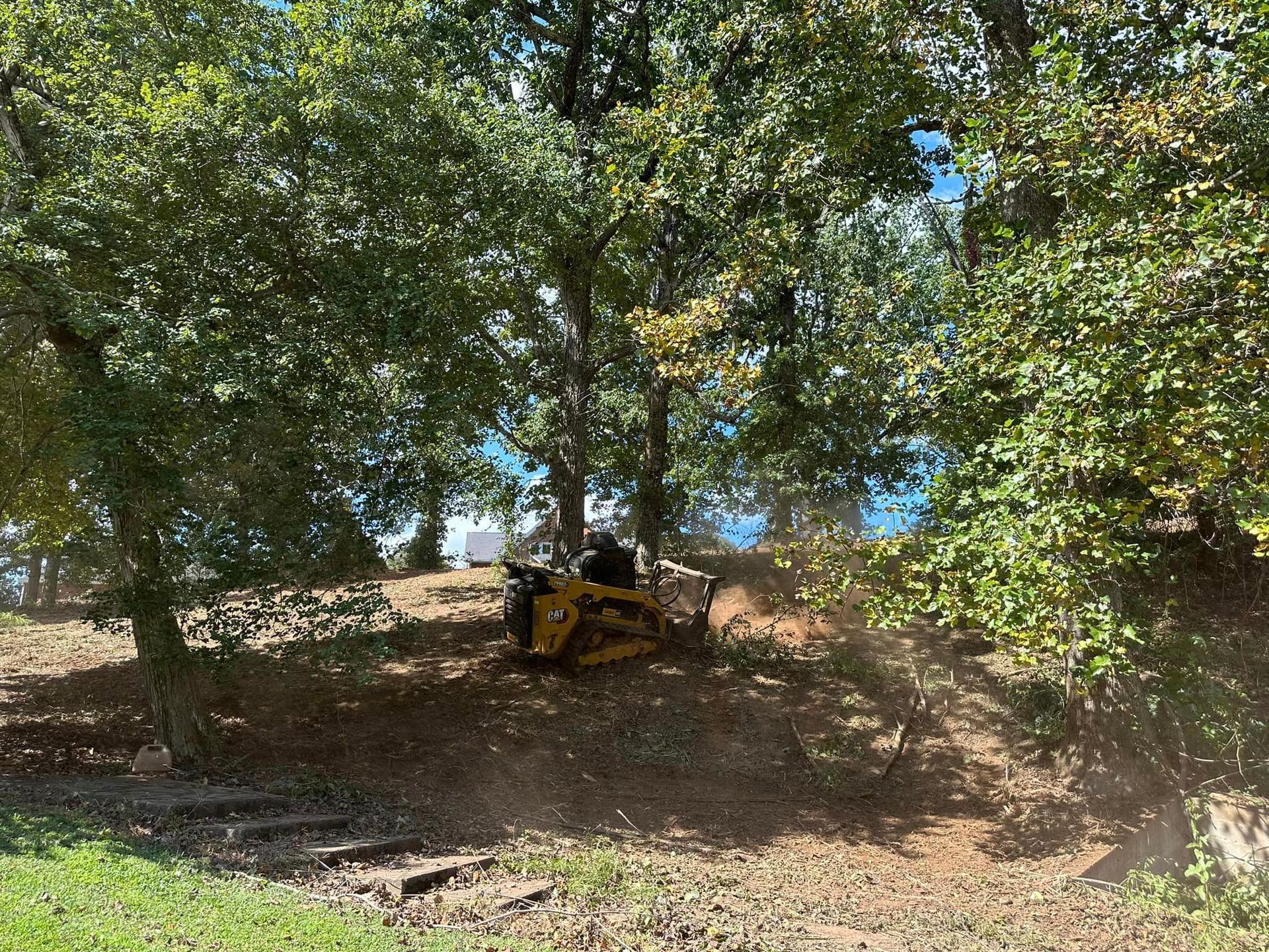 A yellow tractor is sitting in the middle of a forest.