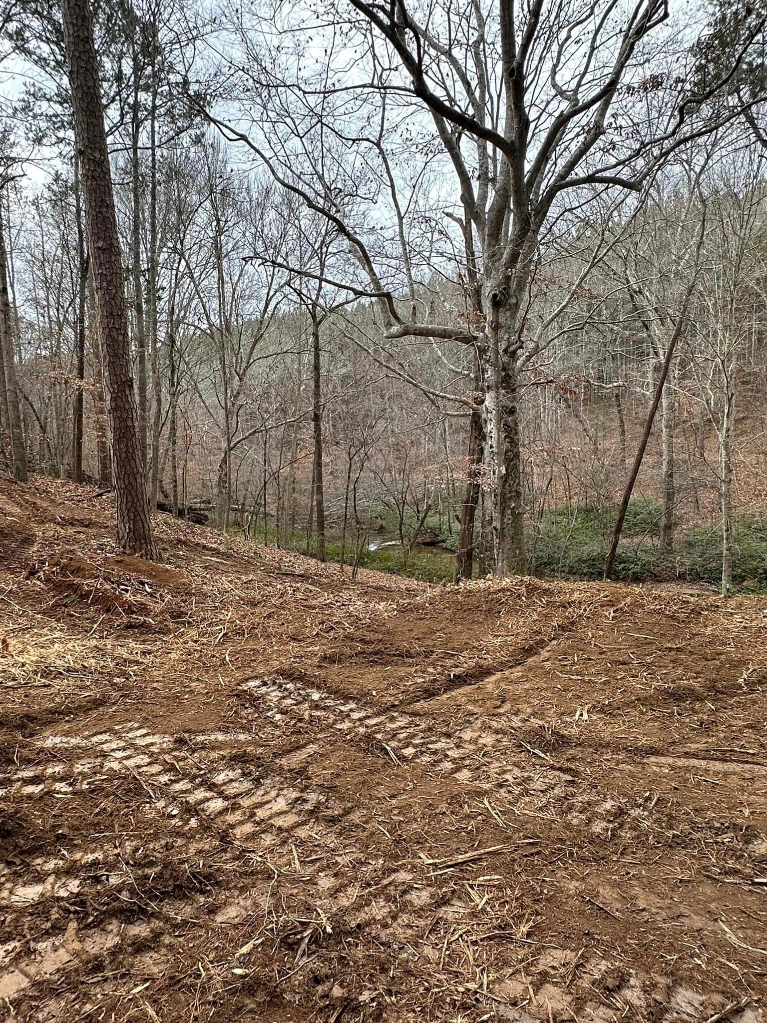 A dirt road in the middle of a forest with trees and leaves on the ground.