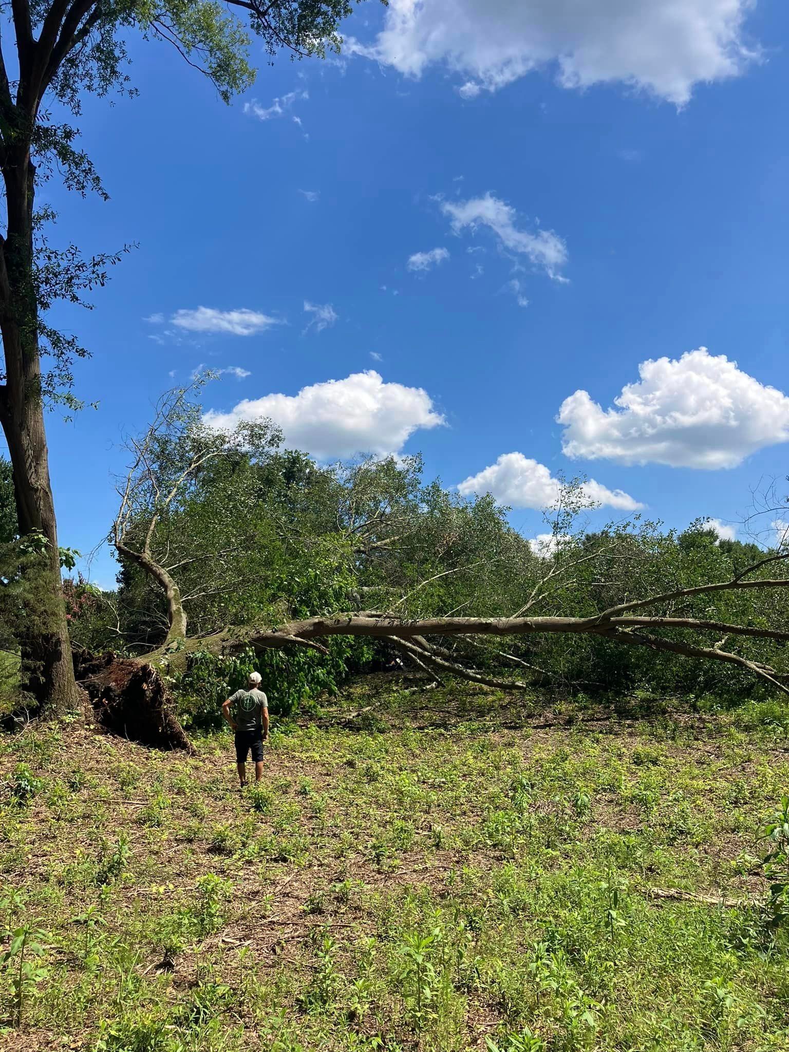 A man is standing in a field next to a fallen tree.