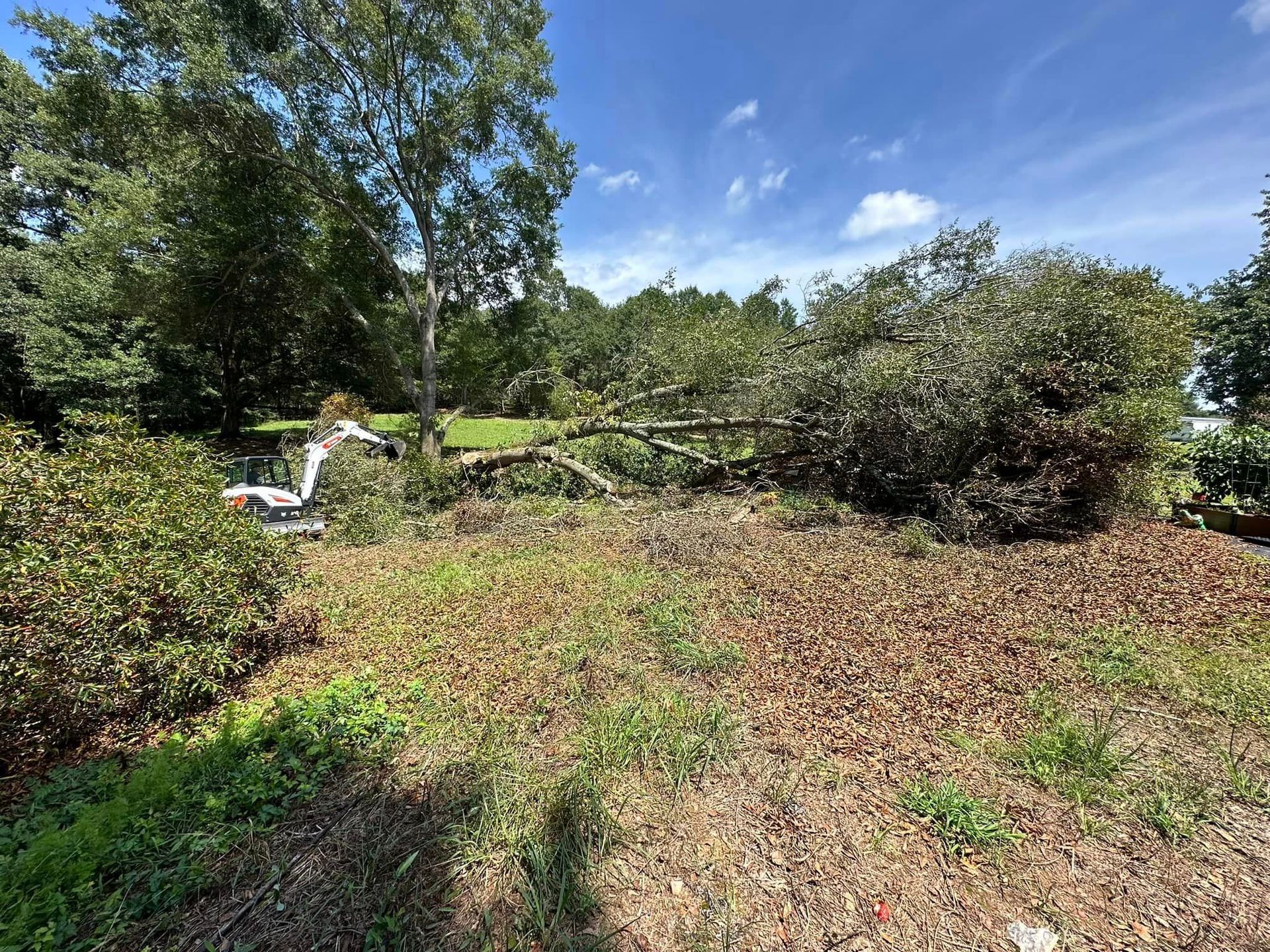 A large pile of dirt is sitting in the middle of a field surrounded by trees.