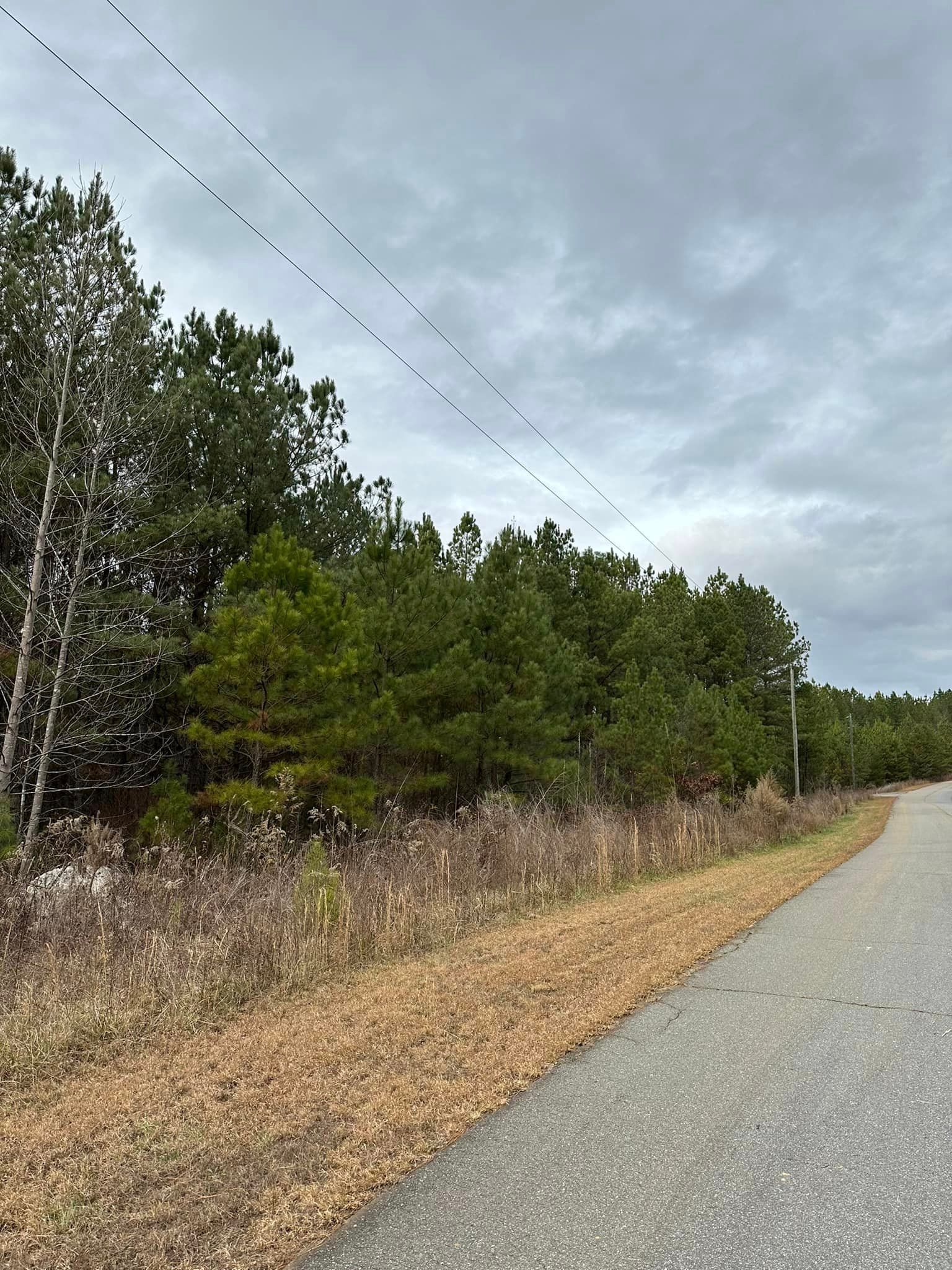 A road with a lot of trees on the side of it.