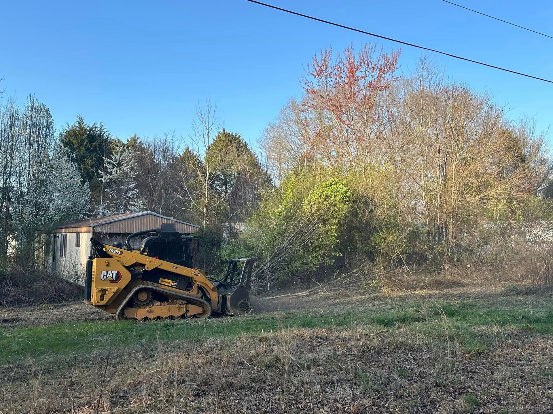 A bulldozer is cutting down trees in a field.