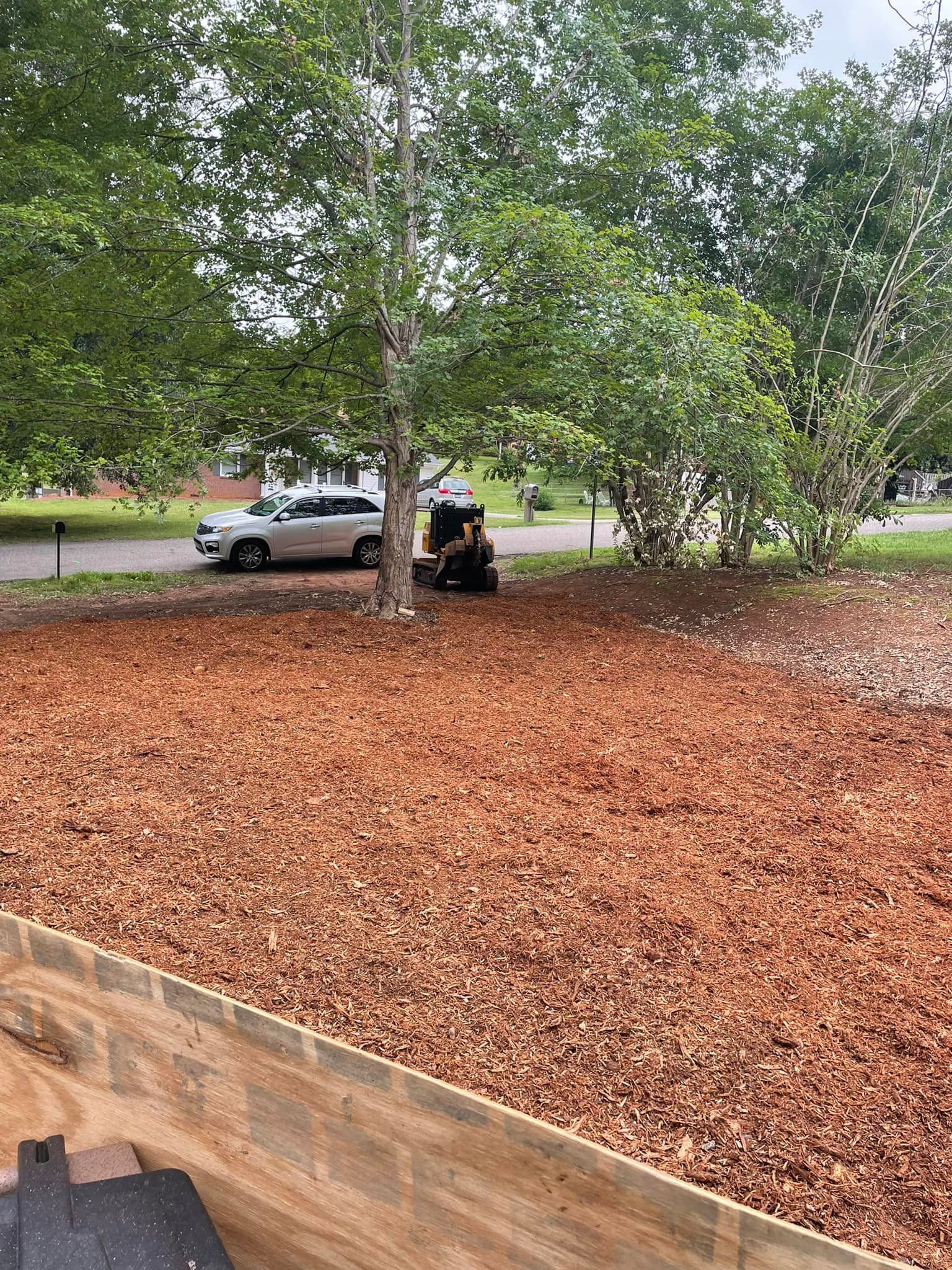 Mulch-covered yard with a tree and a person operating a lawnmower, with a car parked nearby.