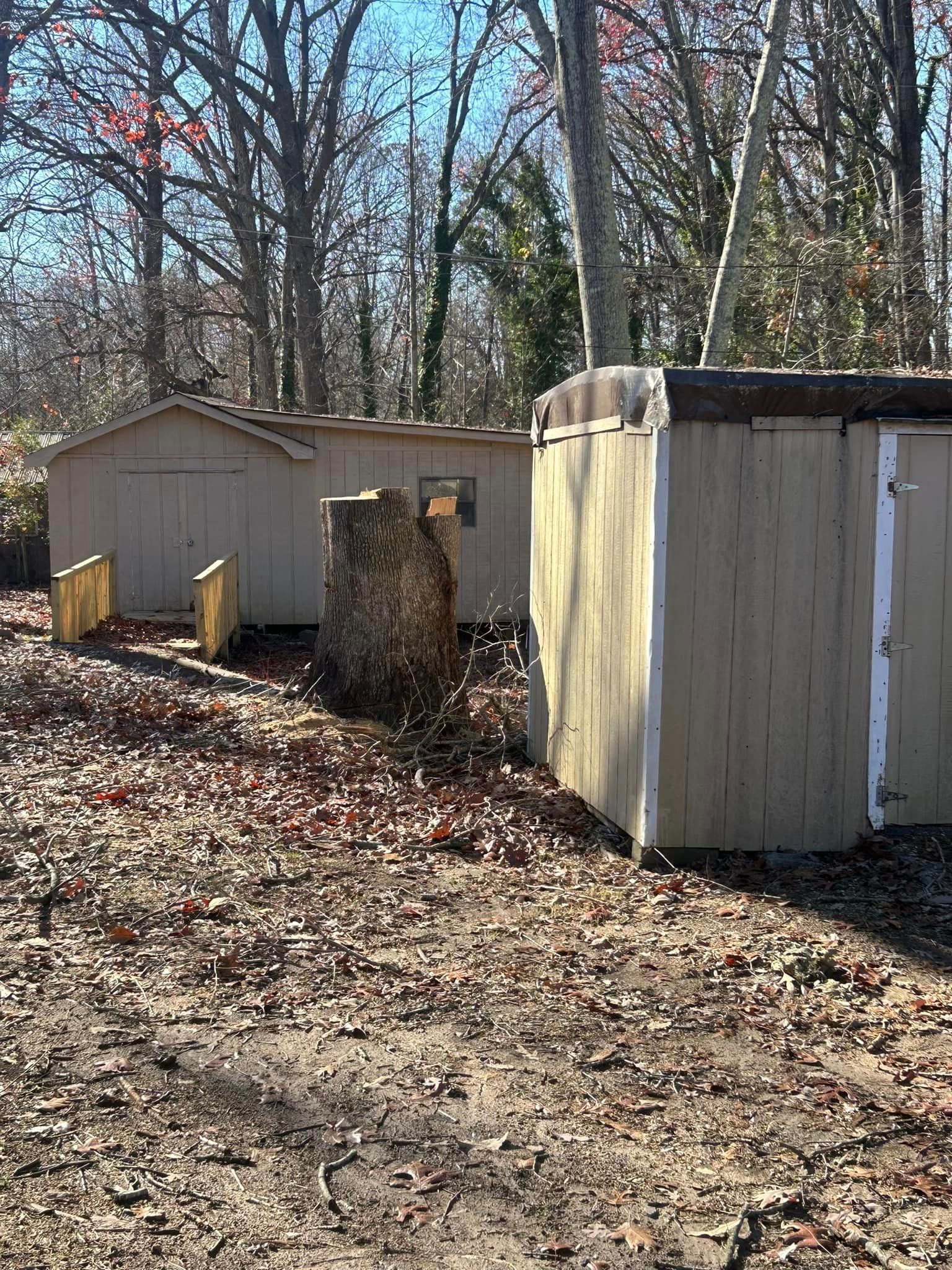 There are two sheds in the middle of the woods.