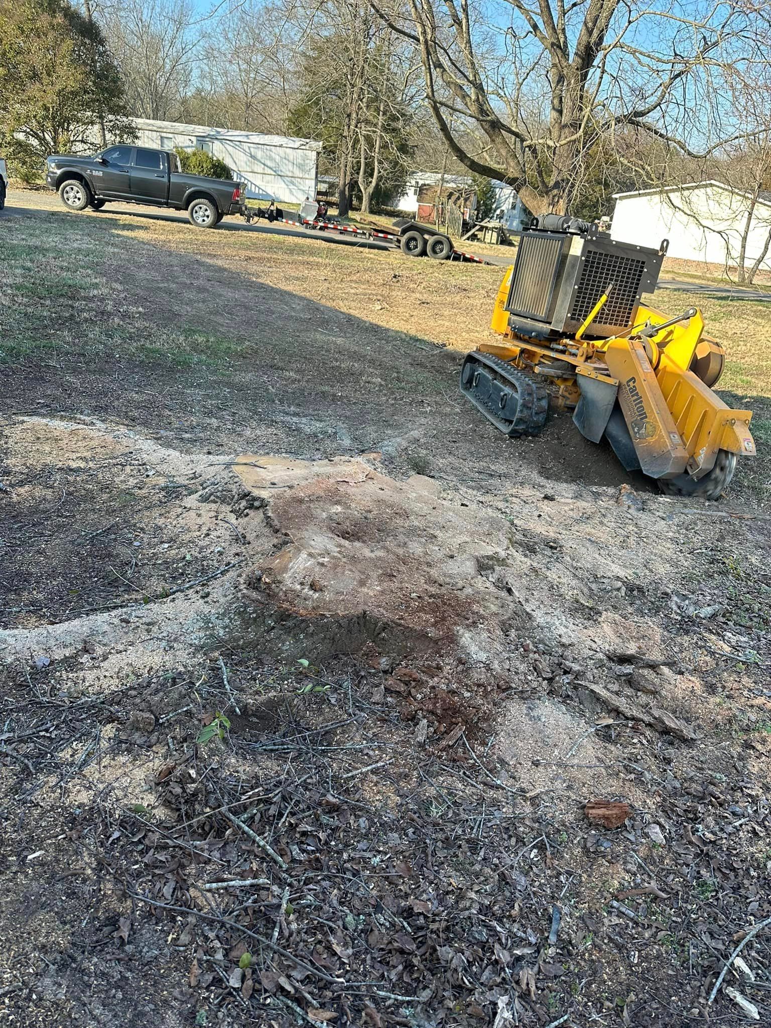 A yellow stump grinder is sitting next to a large tree stump.