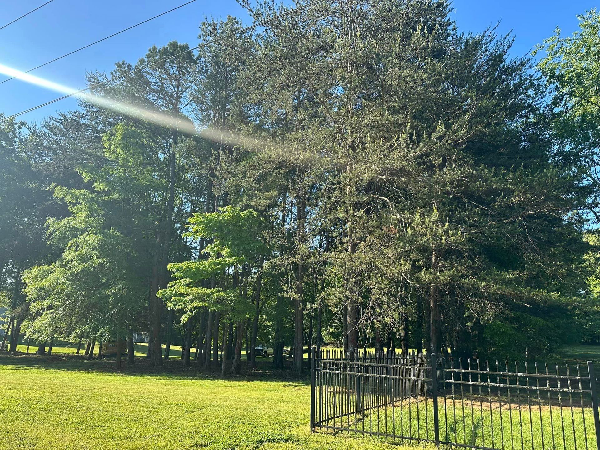 A fence surrounds a grassy field with trees in the background.
