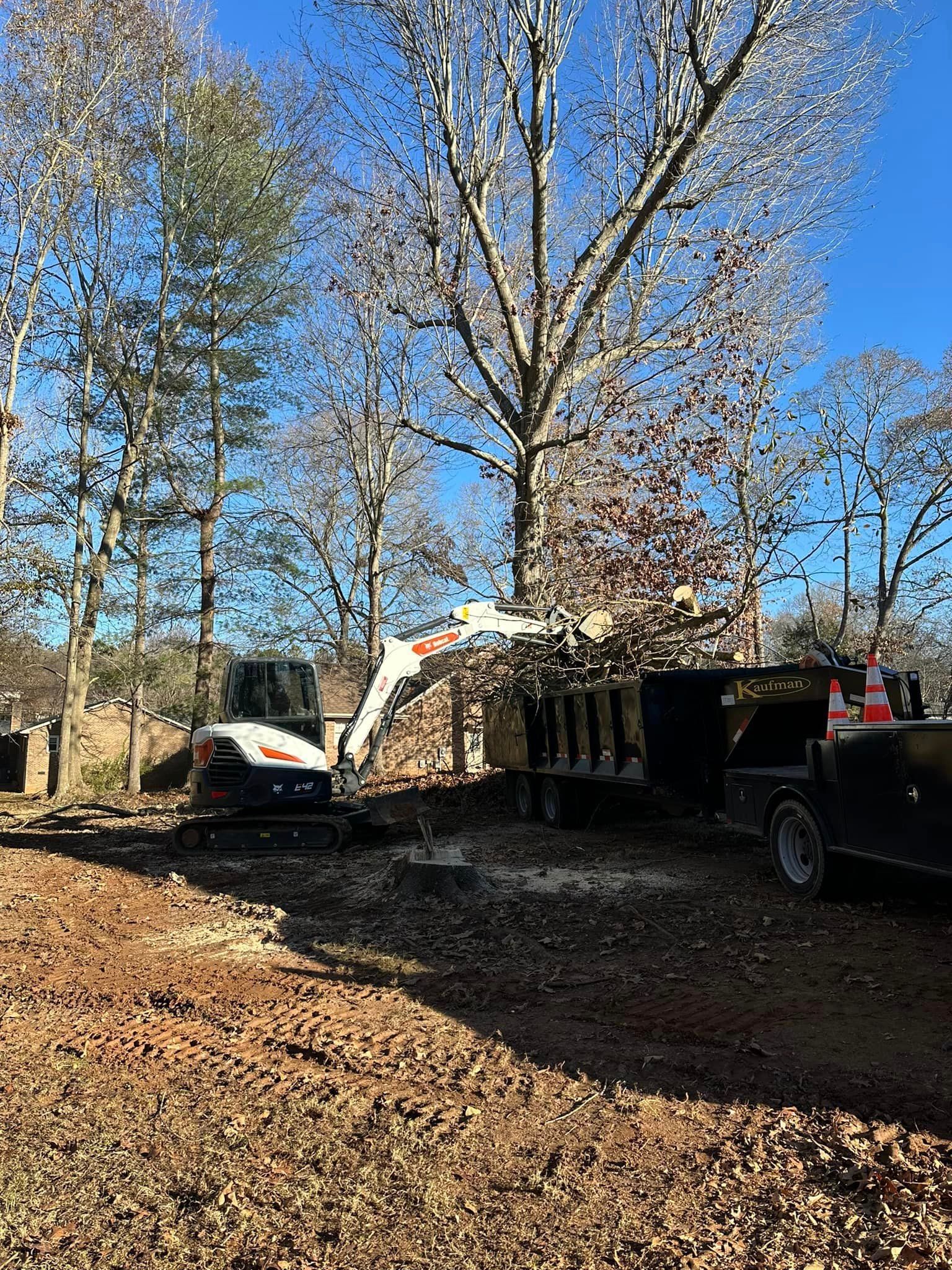 A bulldozer is cutting down a tree in a forest.