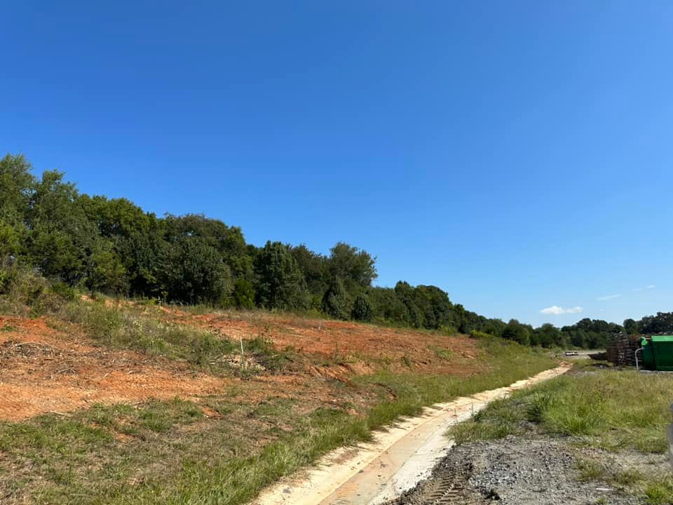 A dirt road going through a field with trees on the side.