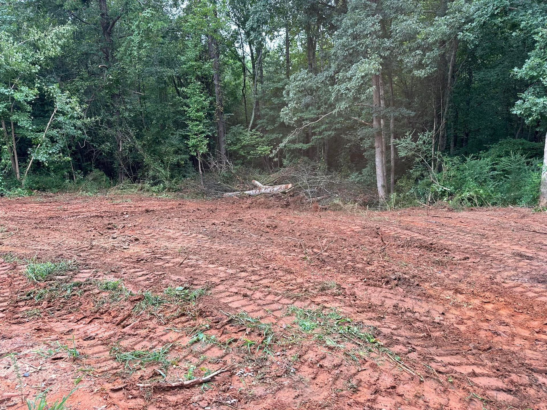 There is a lot of dirt in the middle of the woods.