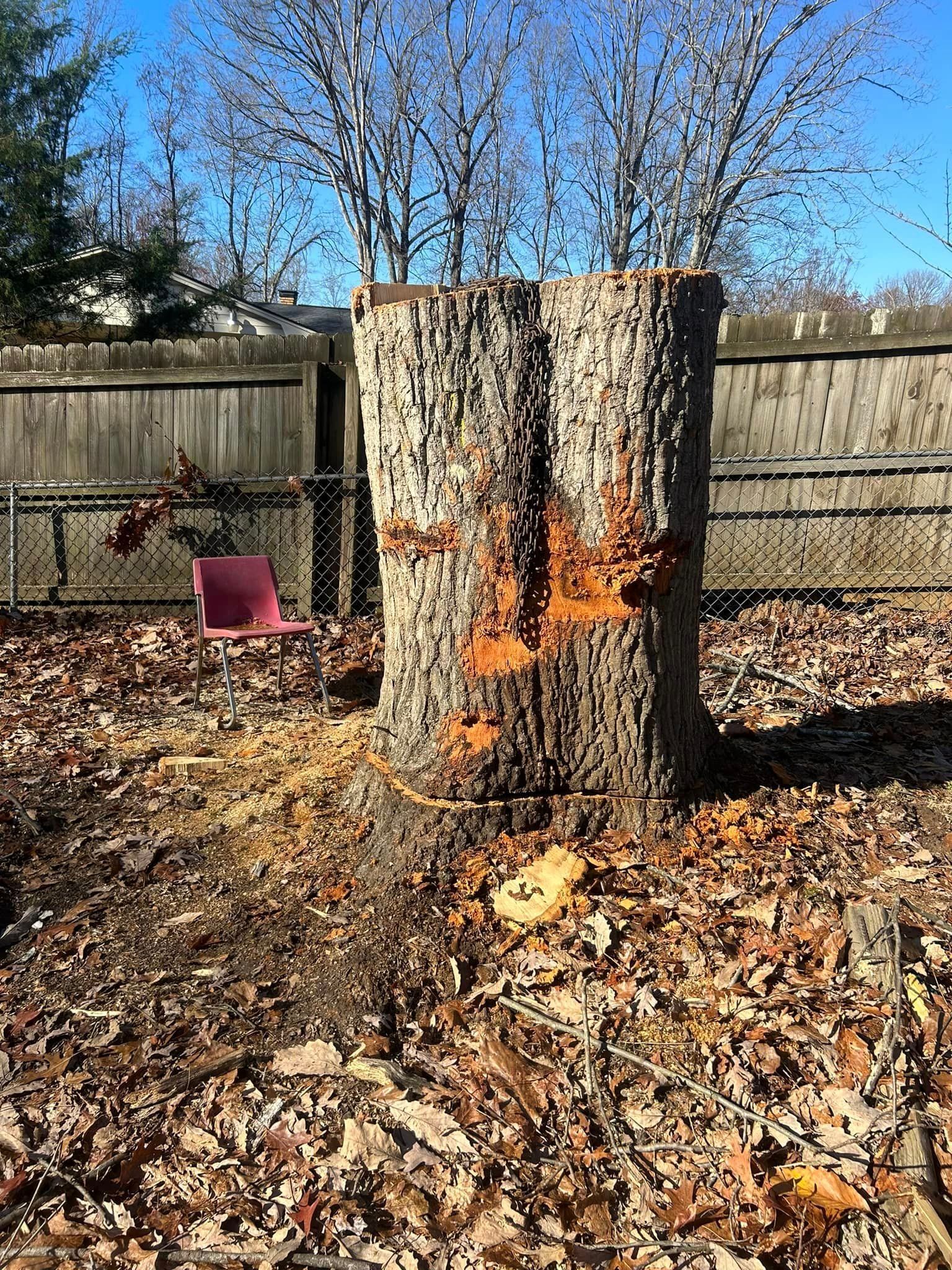 A tree stump is sitting in the middle of a pile of leaves.