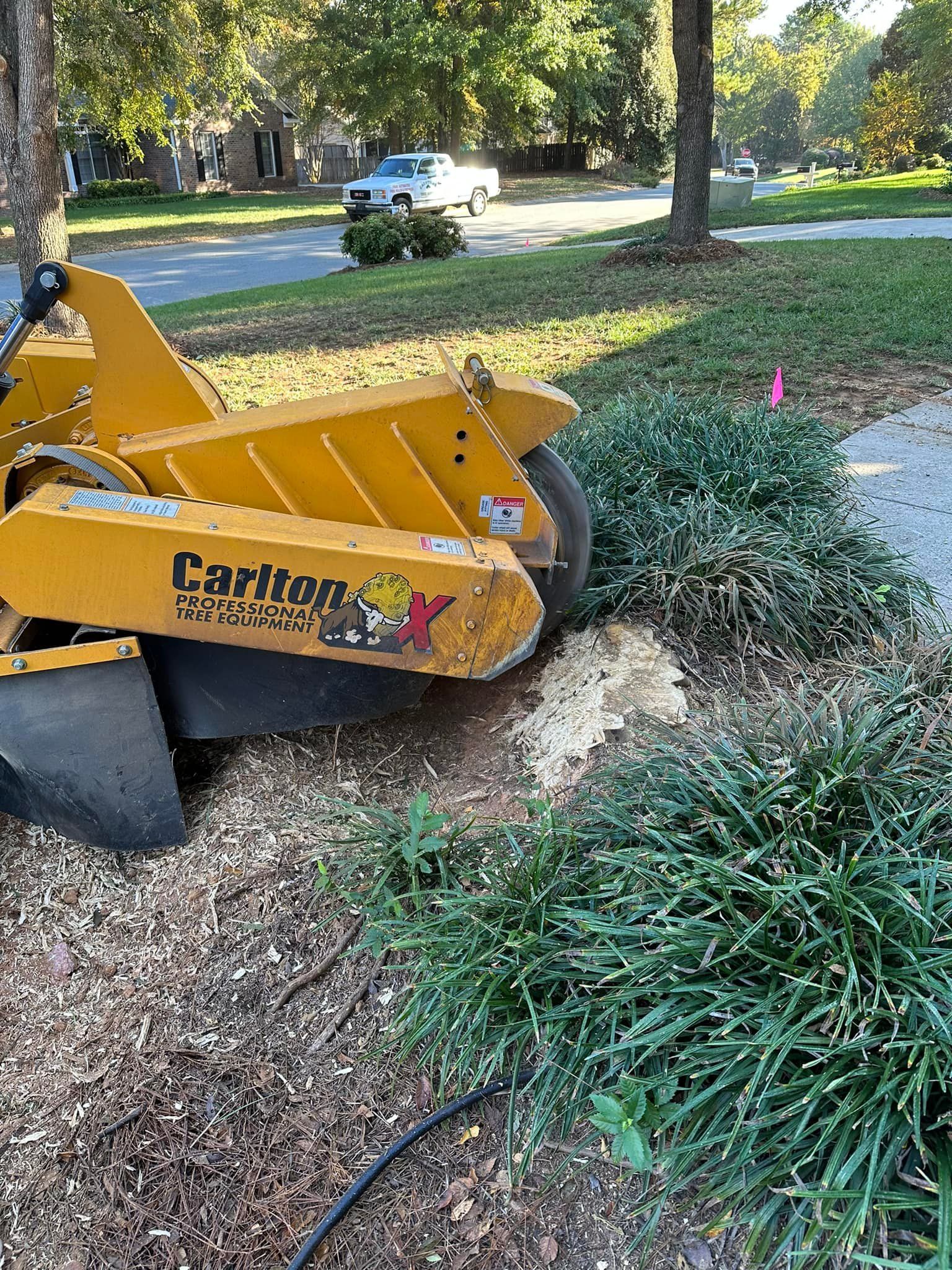 A yellow stump grinder is grinding a tree stump in a yard.