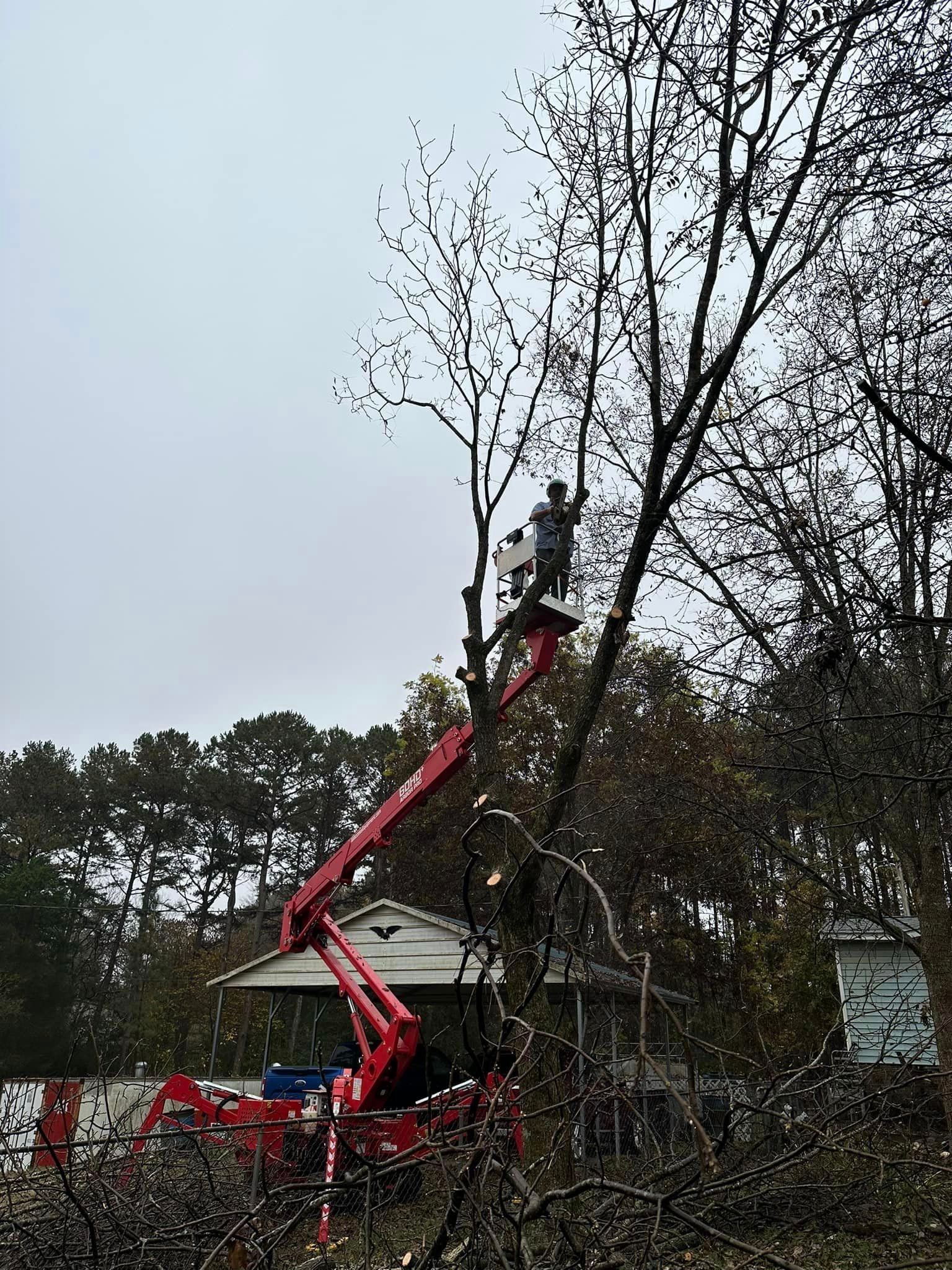 A man is cutting a tree with a crane.