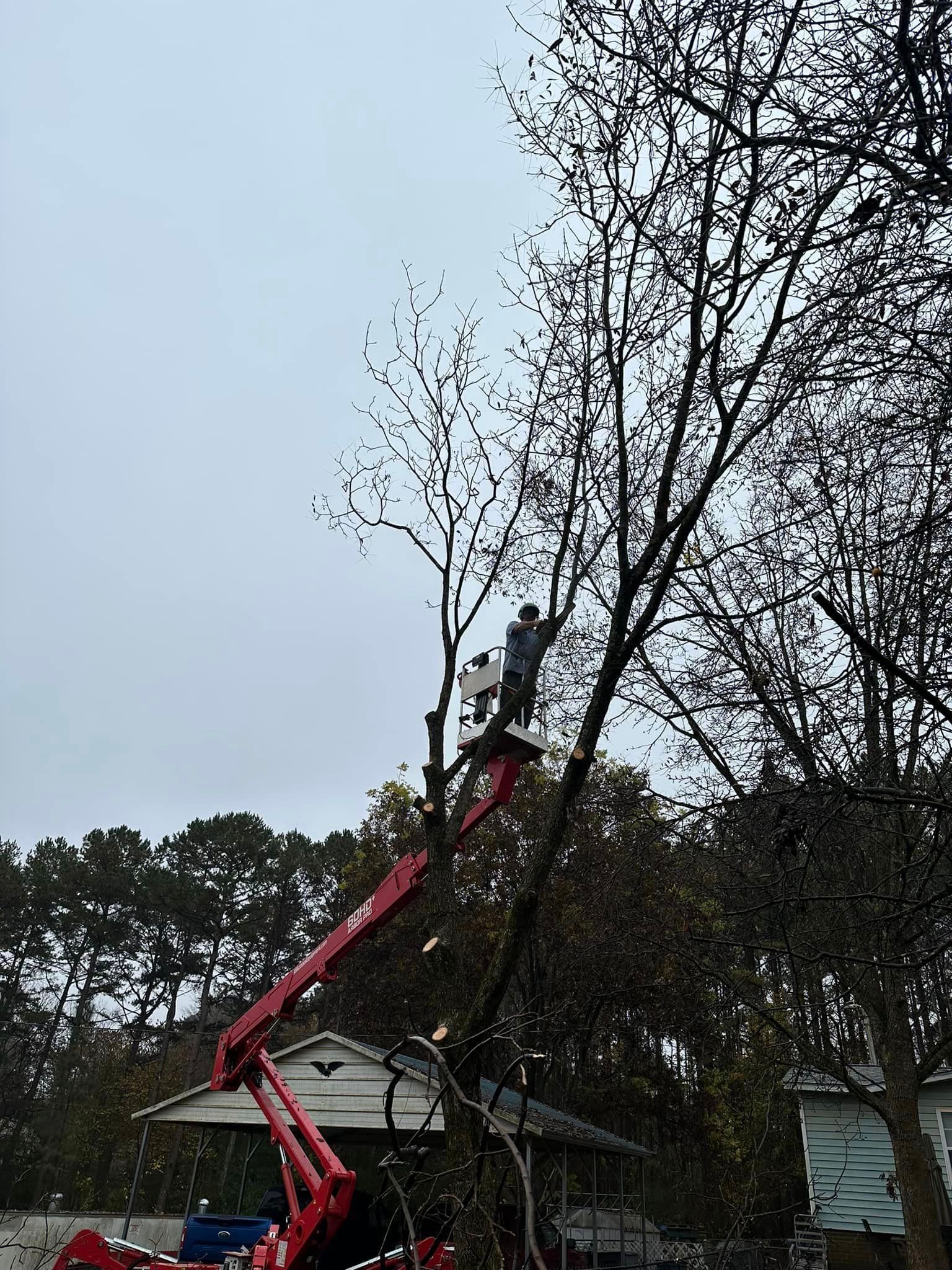 A man is cutting a tree with a crane.